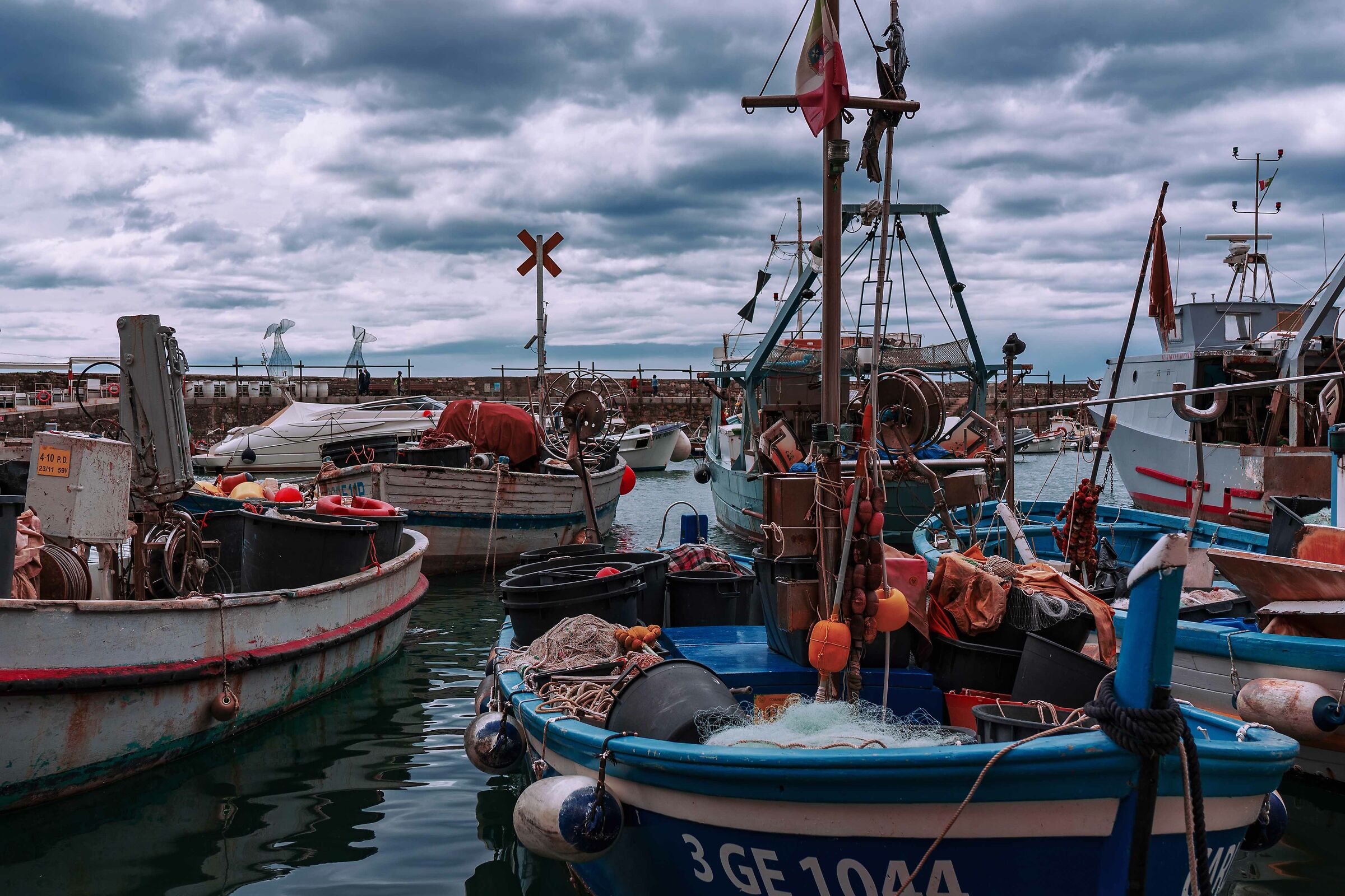 I delfini spiaggiati