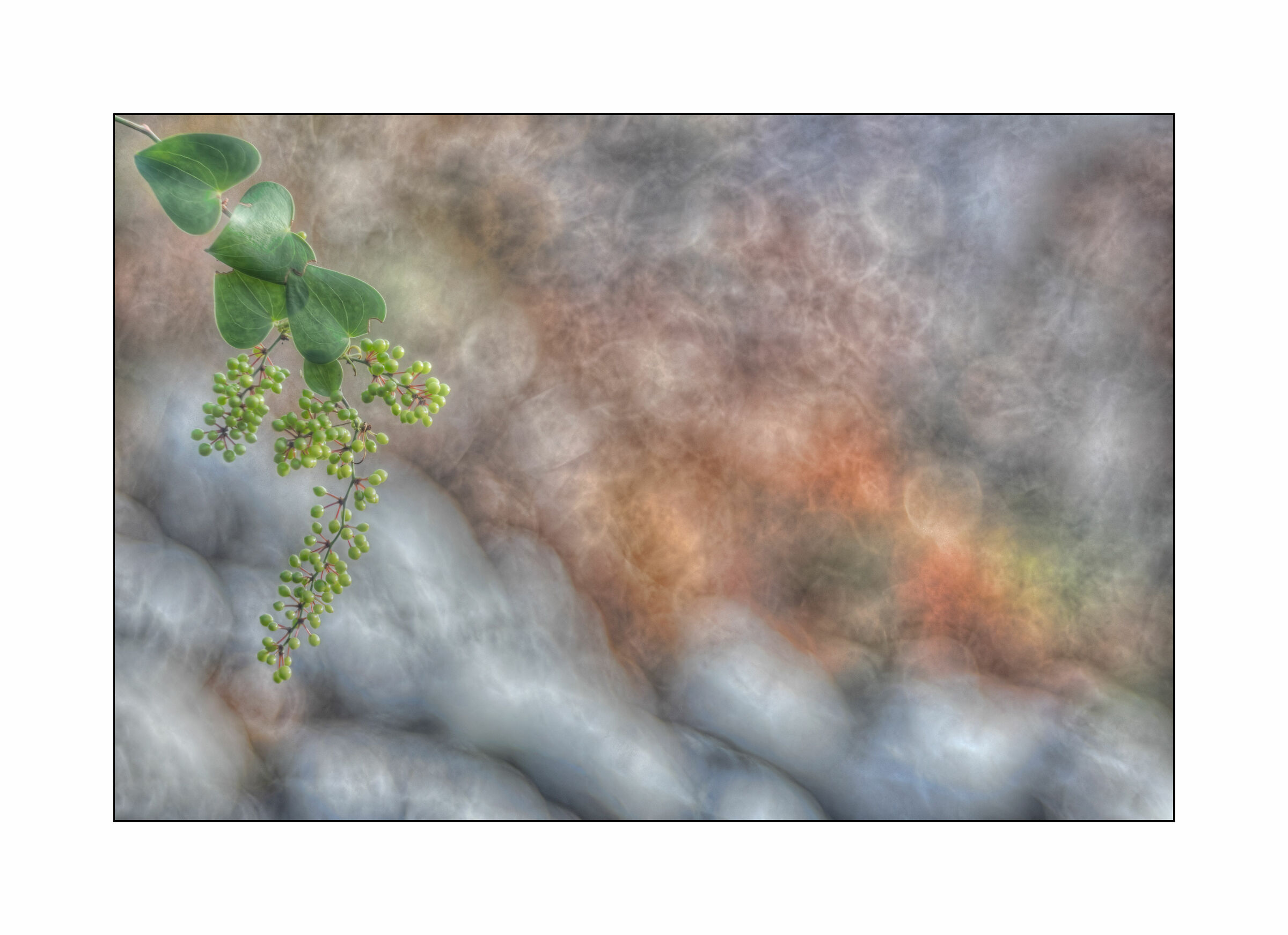 Autumn on the Trieste Coast