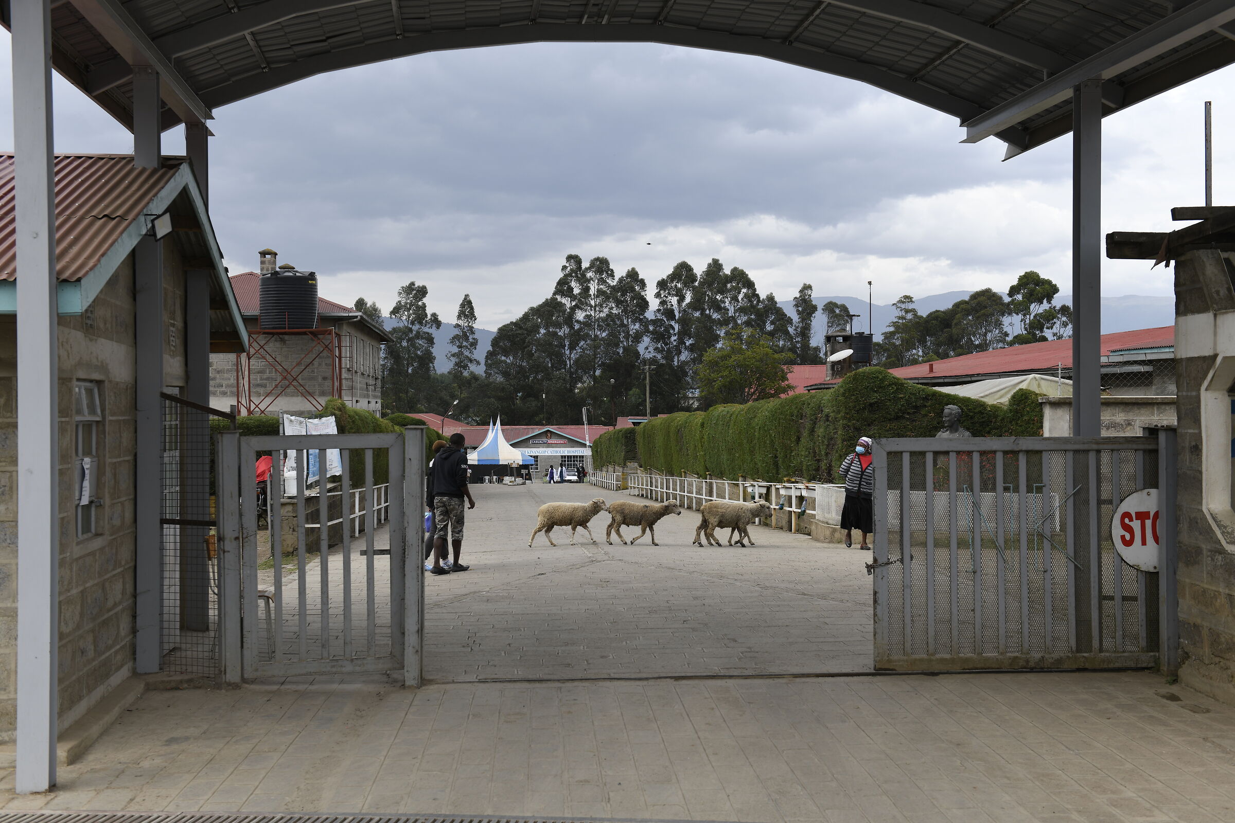 The entrance to the hospital
