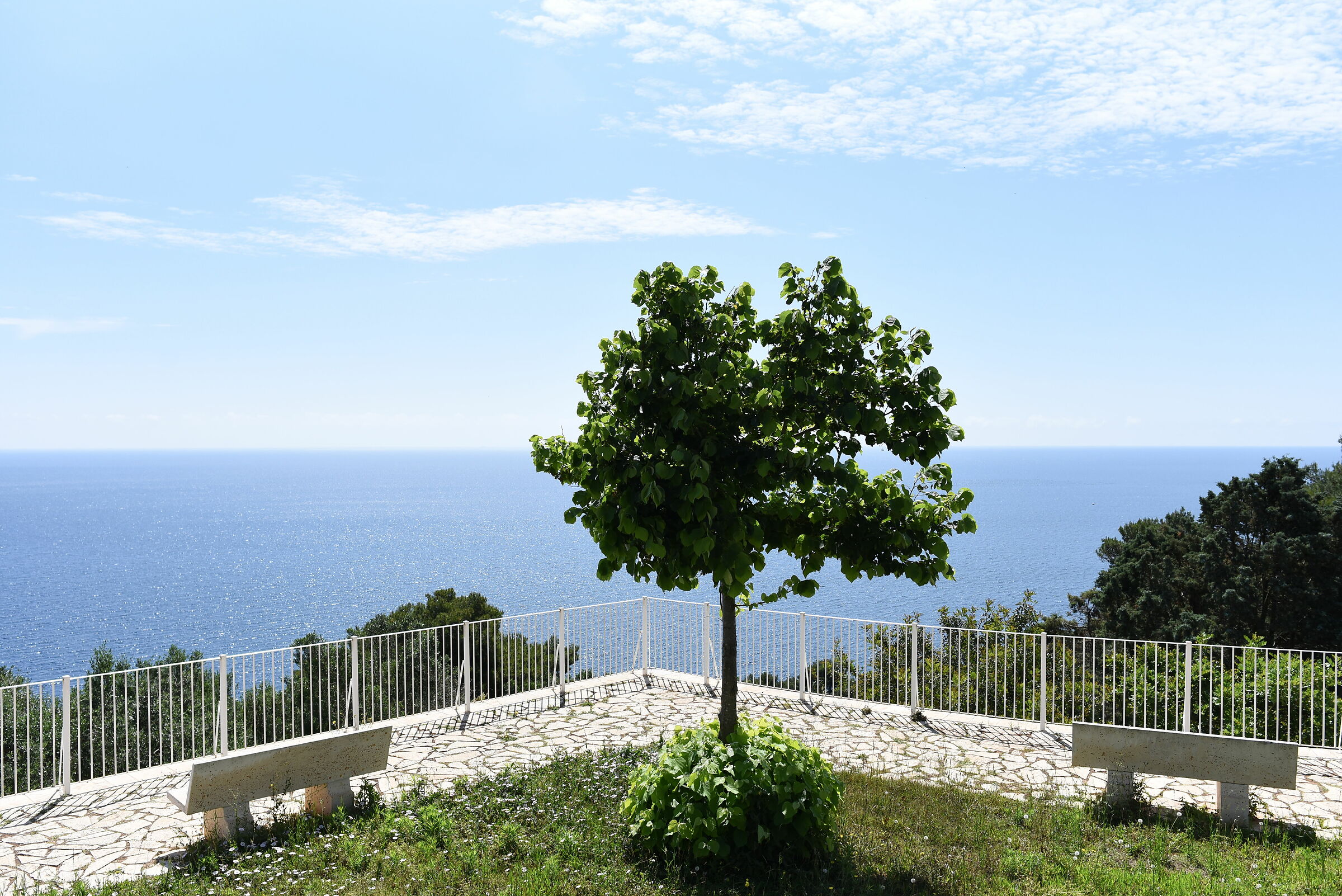 " 1/4 Mila ", Nikon 28, 1.4 E ED - D 750