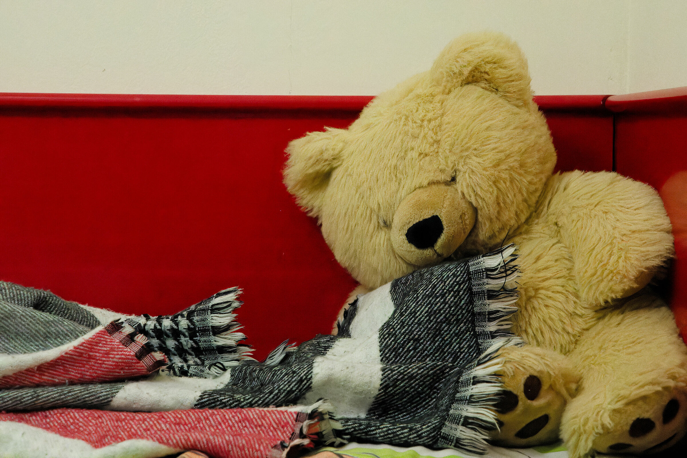 iso-12800 recupero +3 ombre DxO PL7 Deep Prime XD