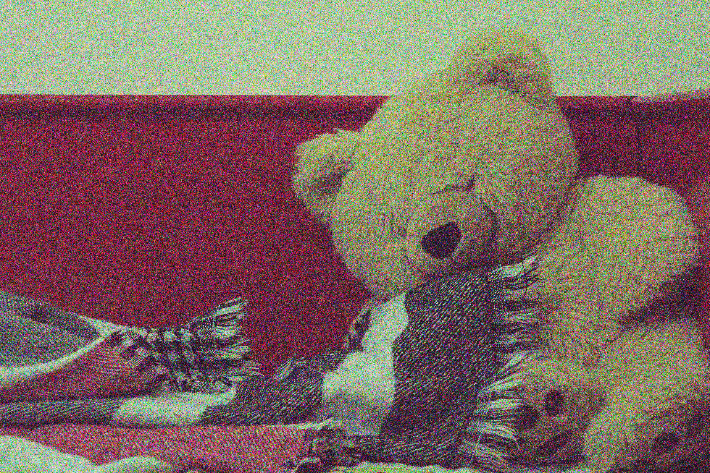 iso-25600 recupero +3 ombre