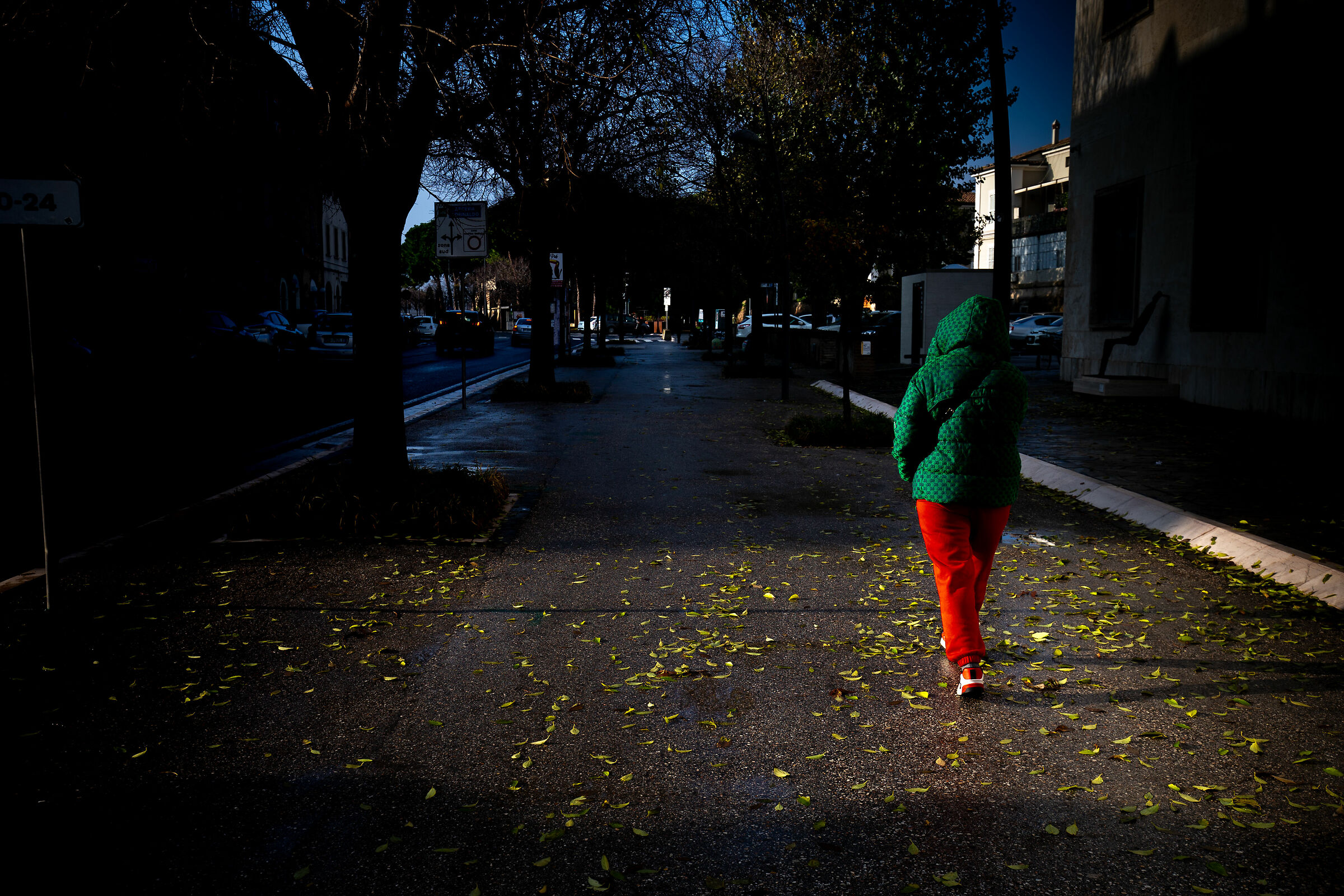 I colori dell'inverno