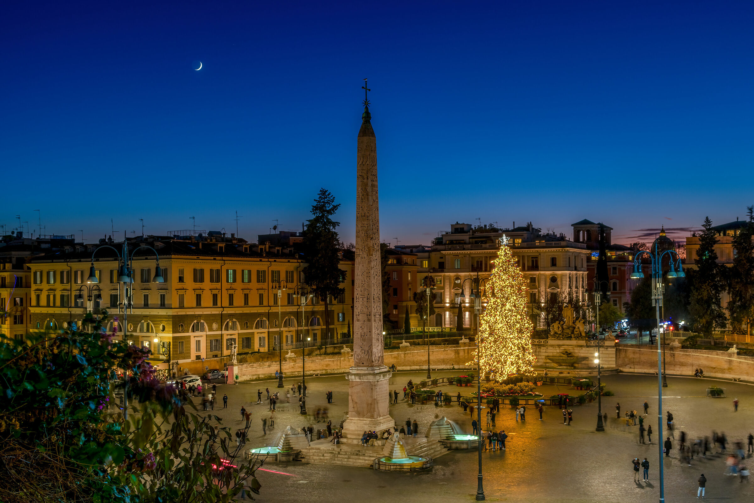 L'albero di Natale di Roma trasloca a Piazza del Popolo