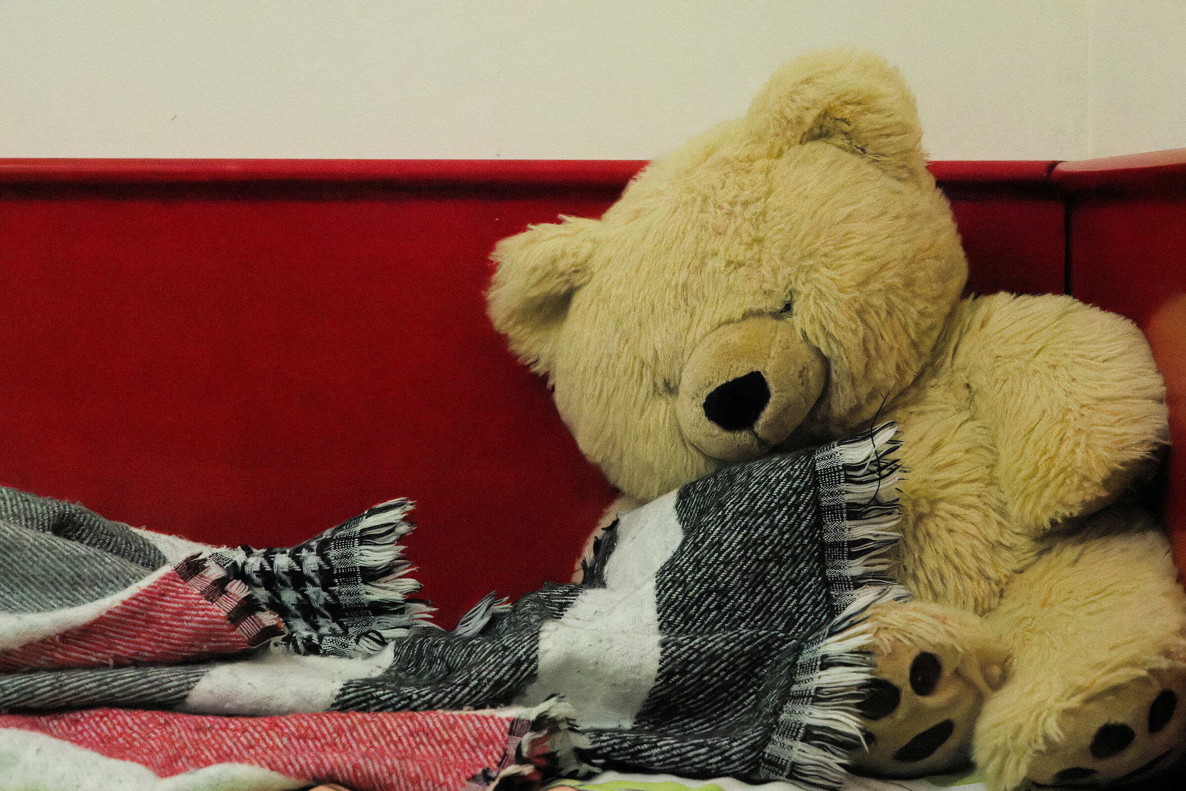 iso-25600 recupero +3 ombre DxO PL7 Deep Prime XD