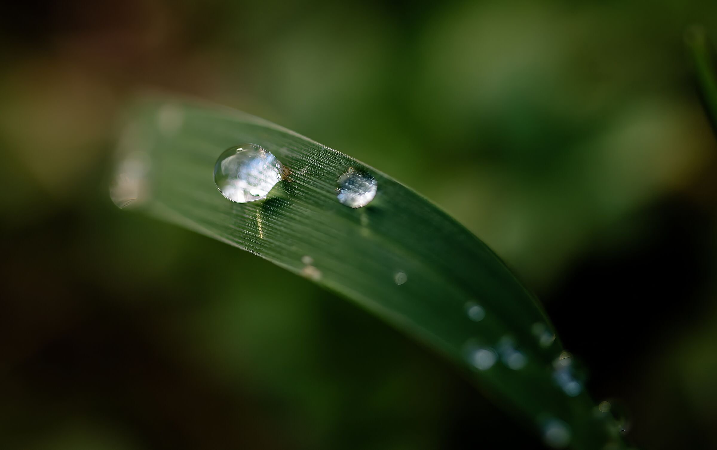 Drops...