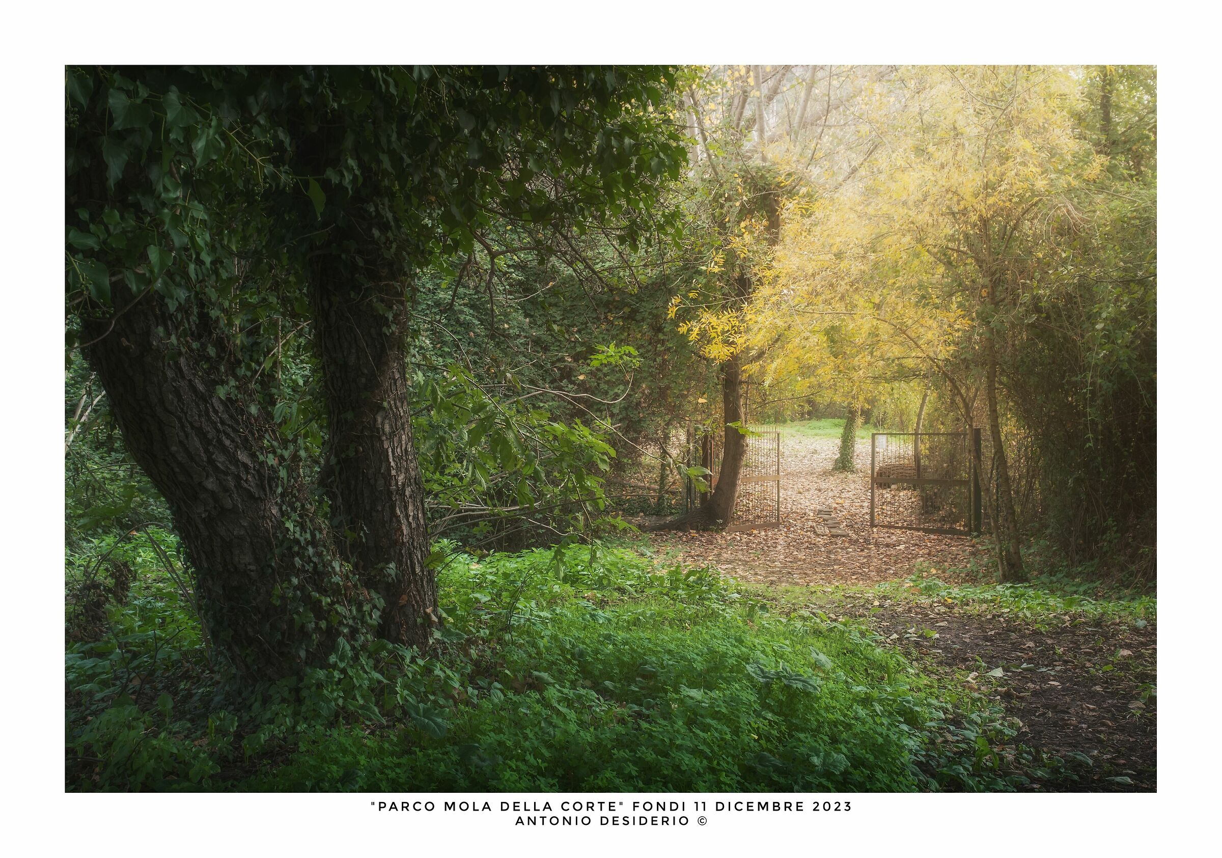 A late autumn morning