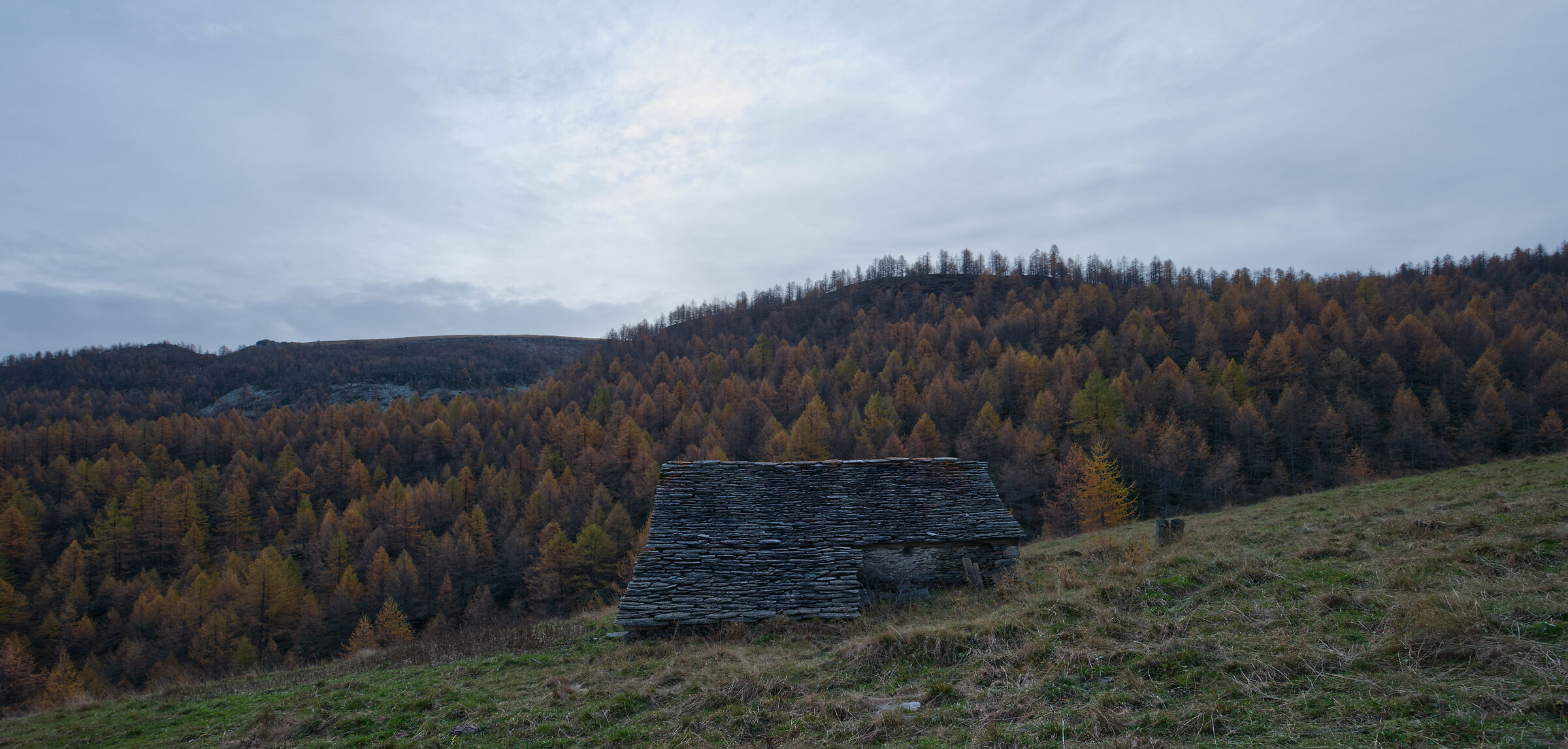 autumn in Valdivedro 2022