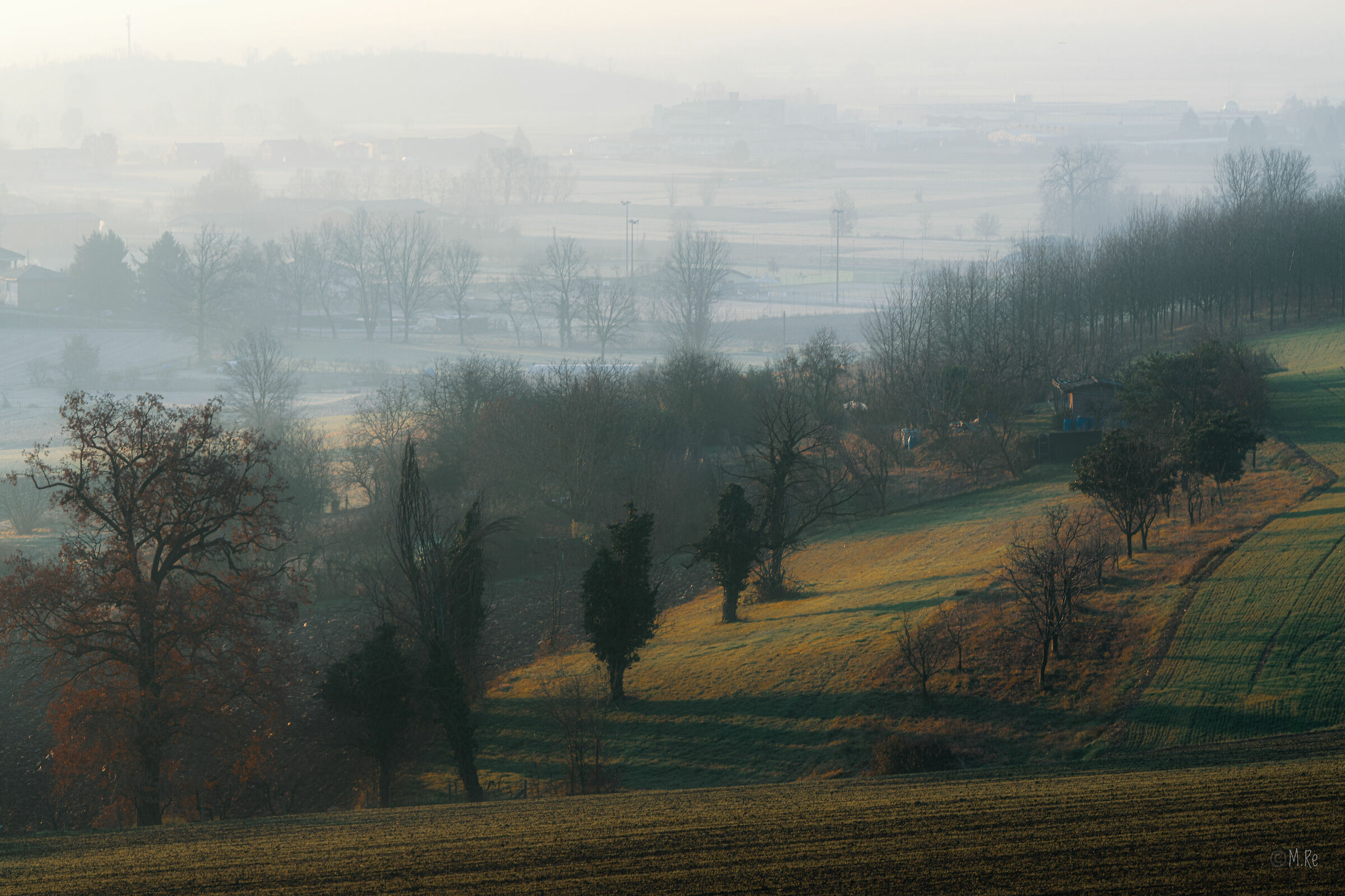 Untitled Photo