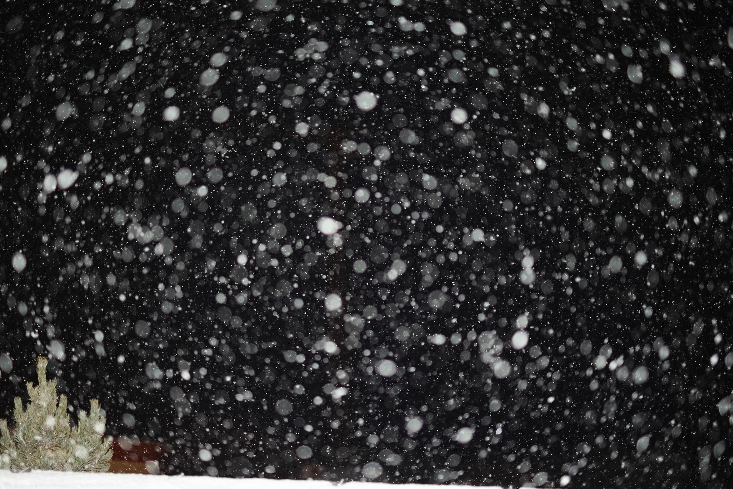 La neve e un ricordo malinconico