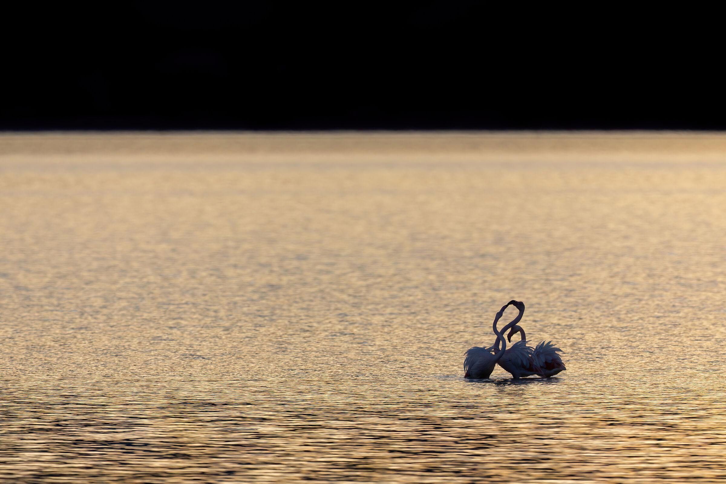 The Trio at Sunset