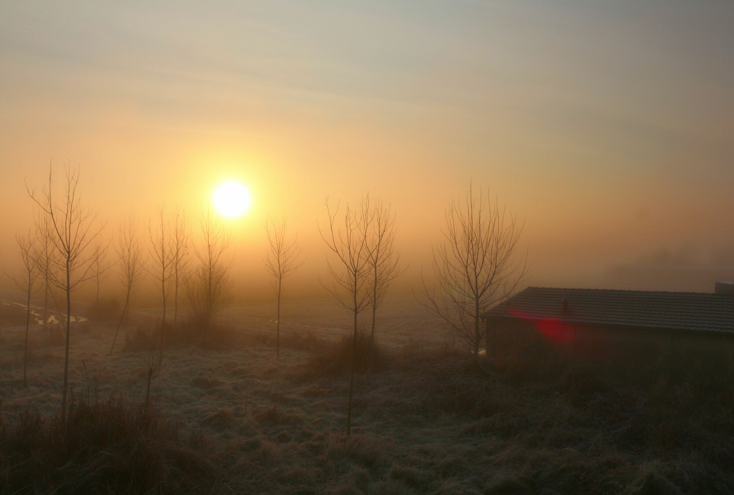 ... 27-12-2020 at 9.50 a.m.