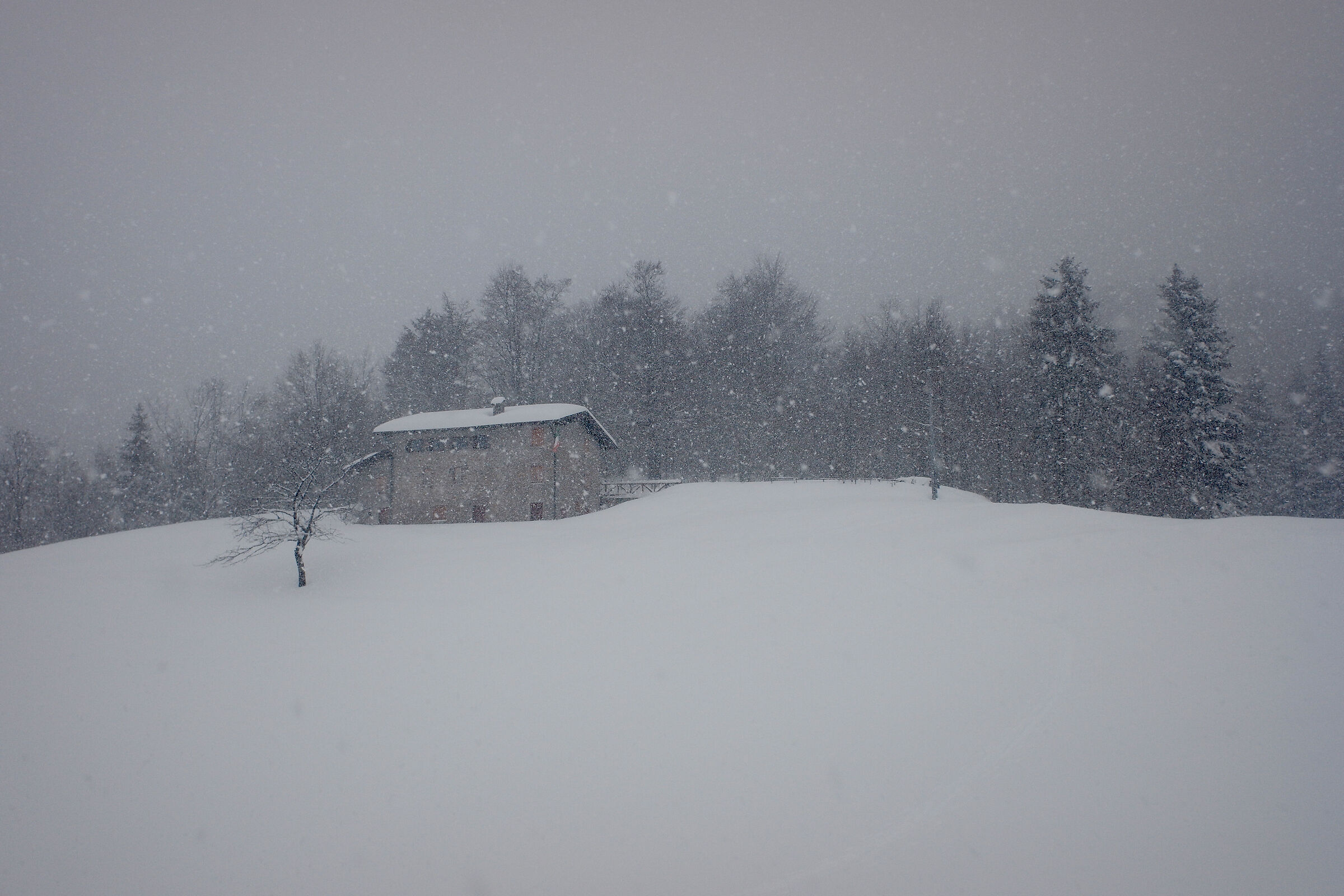 As if it were cotton wool