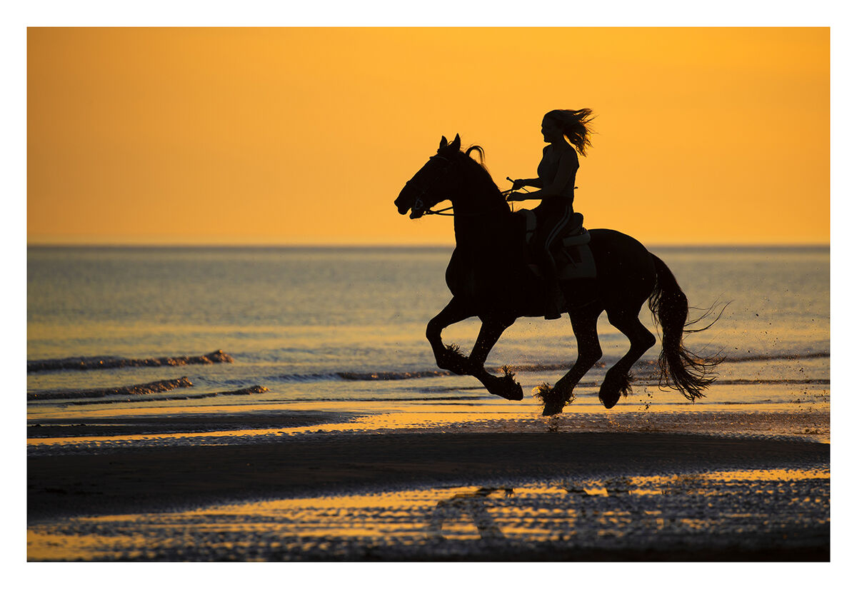 Horsehair in the wind
