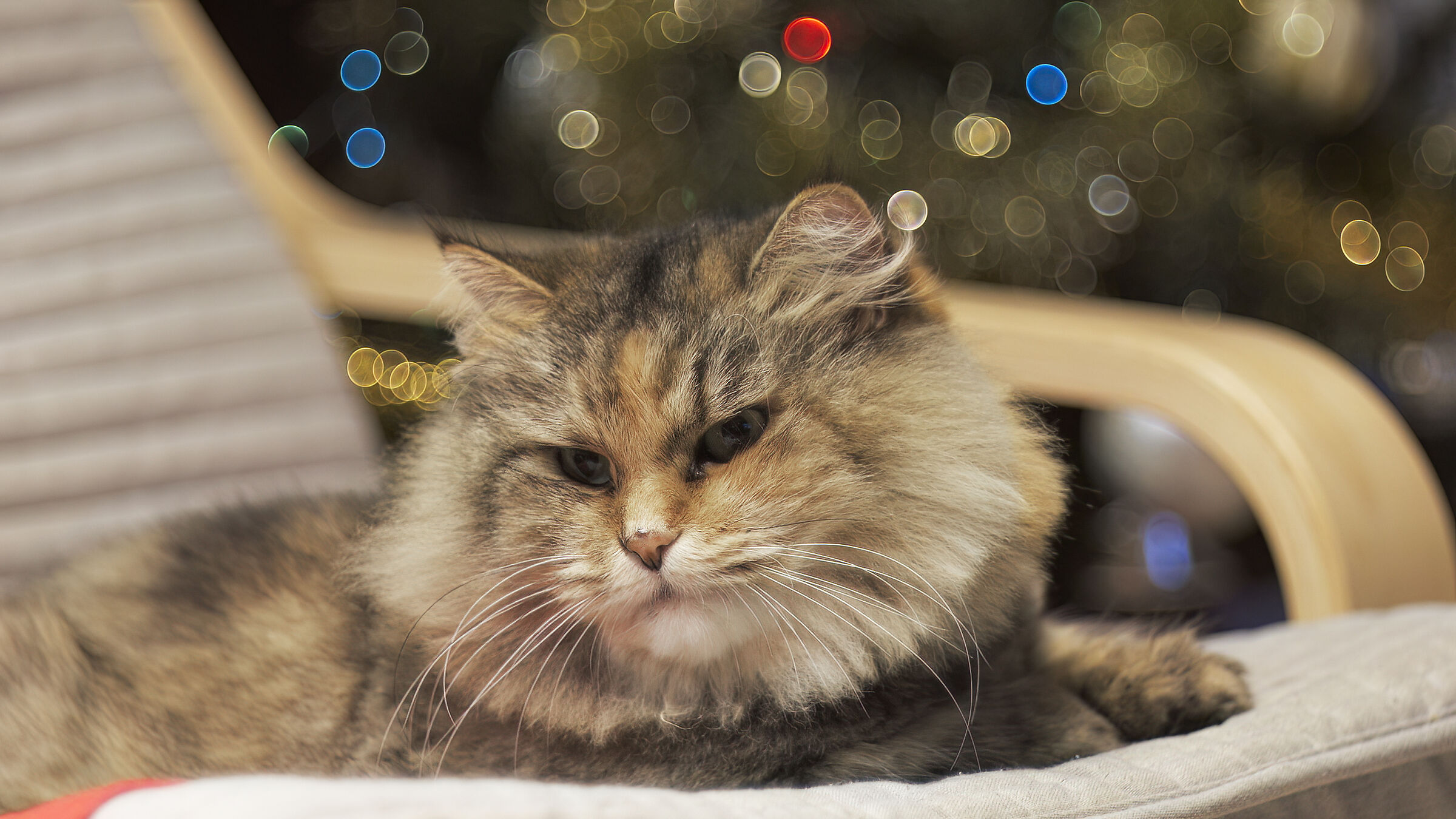 difficle realizzazione