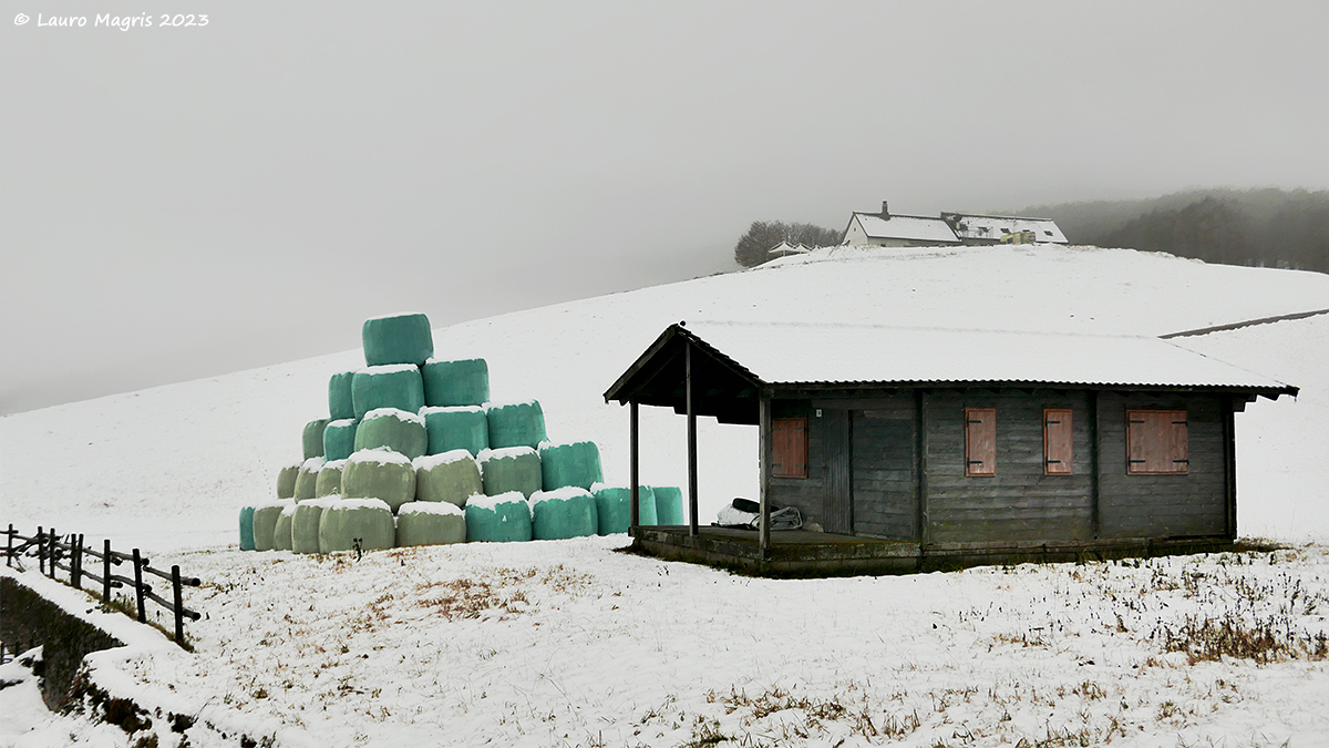 Bales in the snow