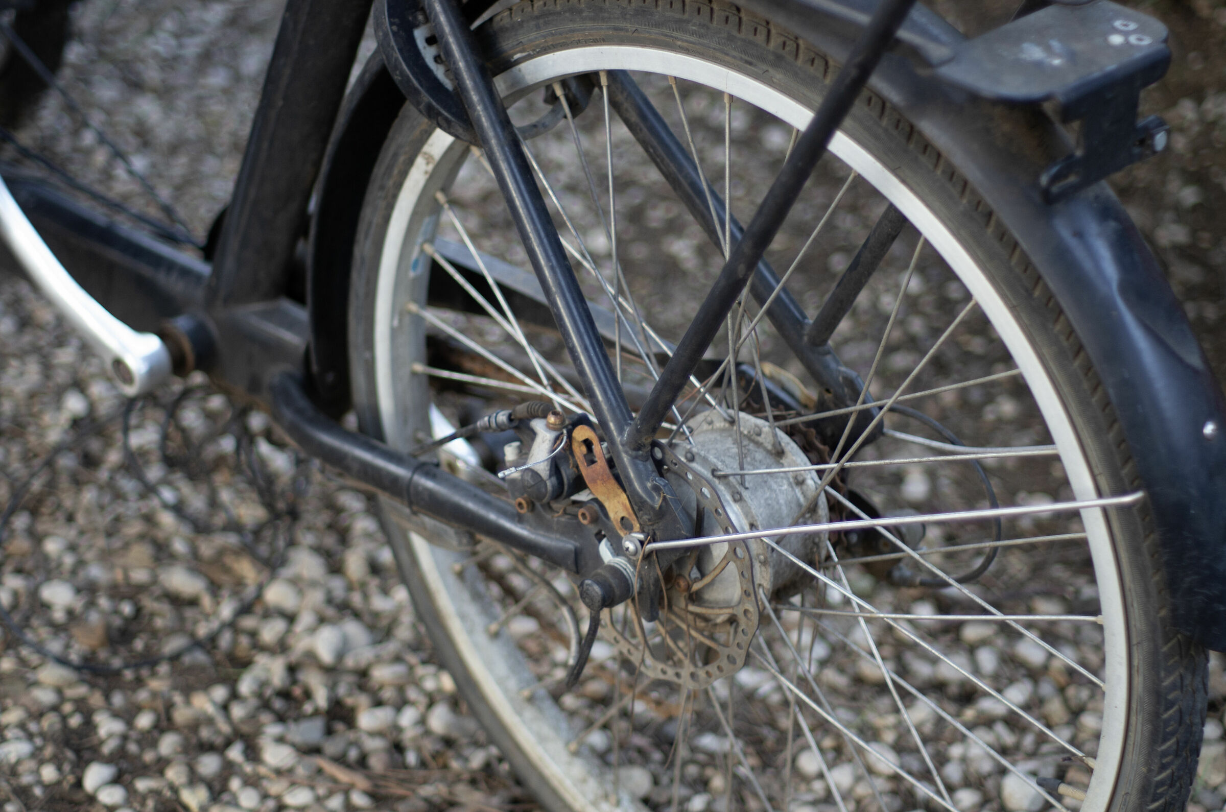 Picnic Express Villa Pamphili 50 mm 1.7 AF - 2