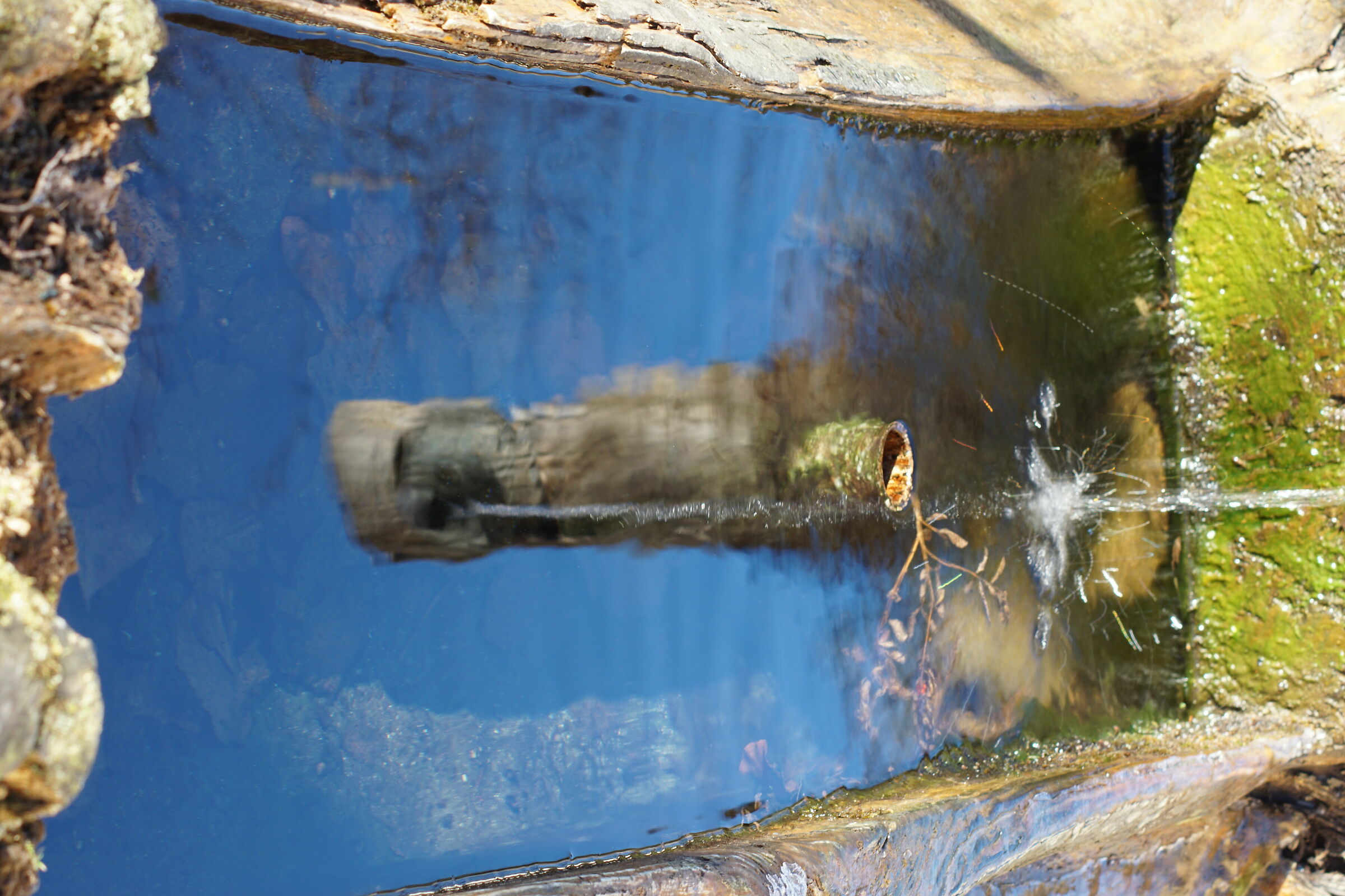 Fontana riflessa su se stessa