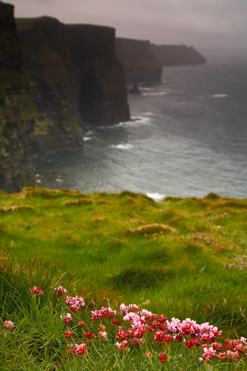 Scogliere di Moher 1