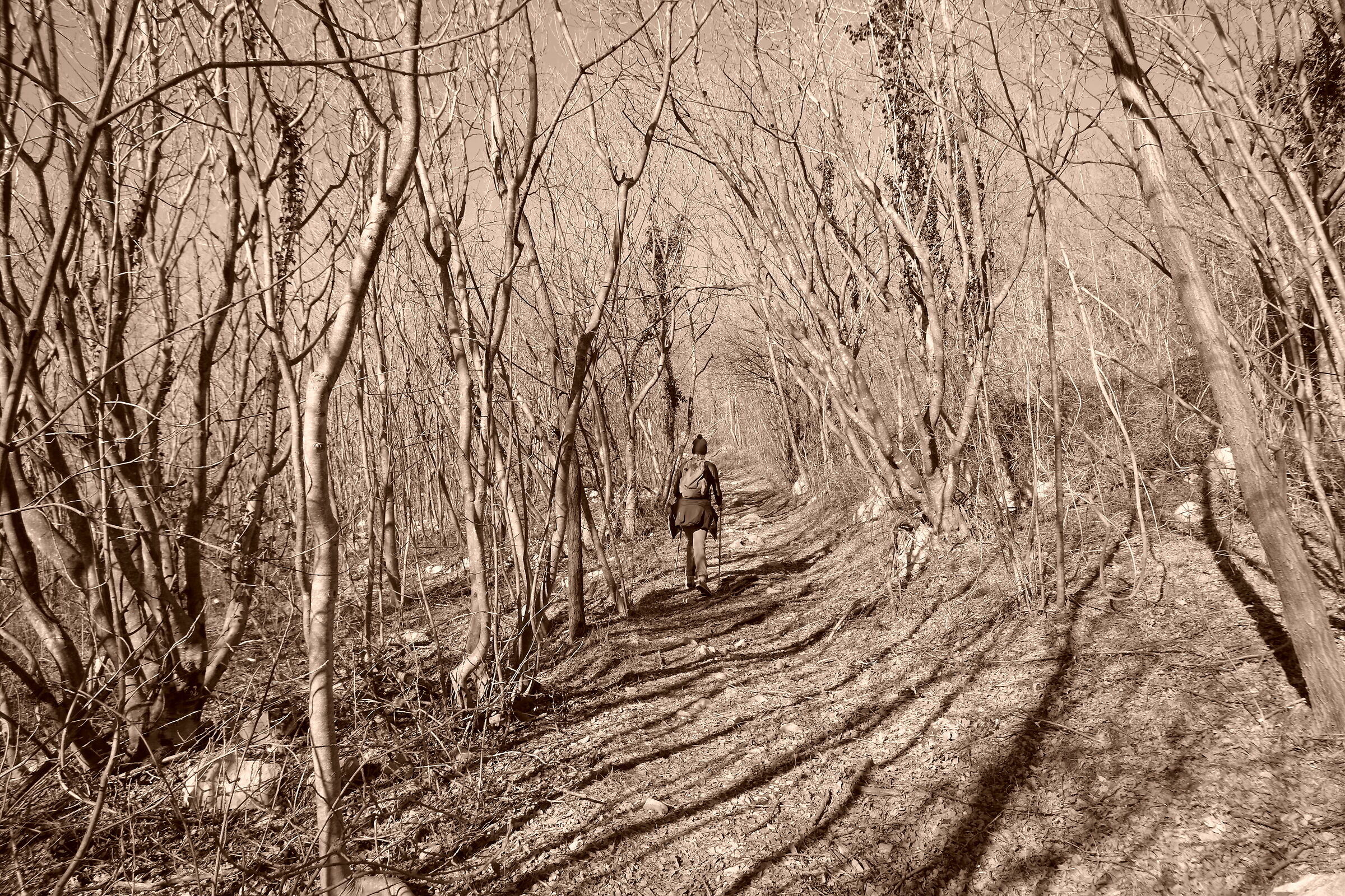 Nel mezzo del cammin....