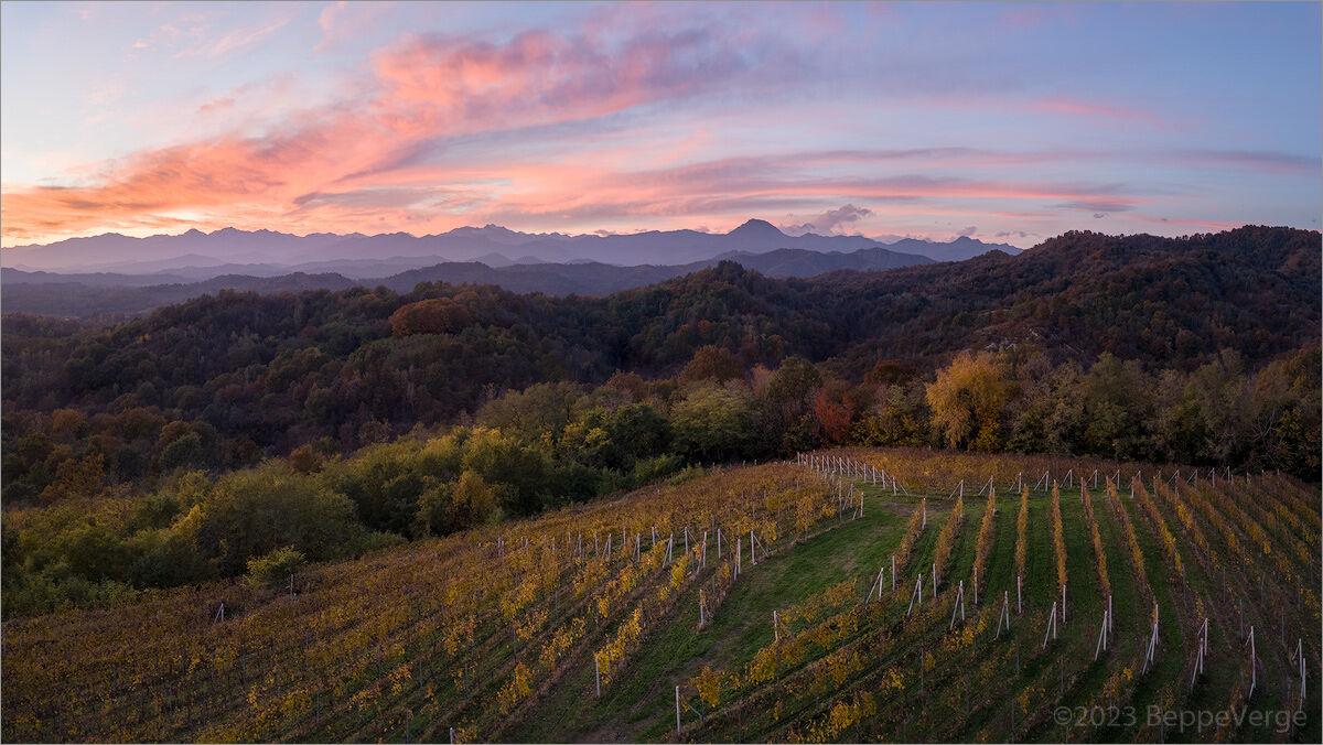 From the vineyard to the Alps