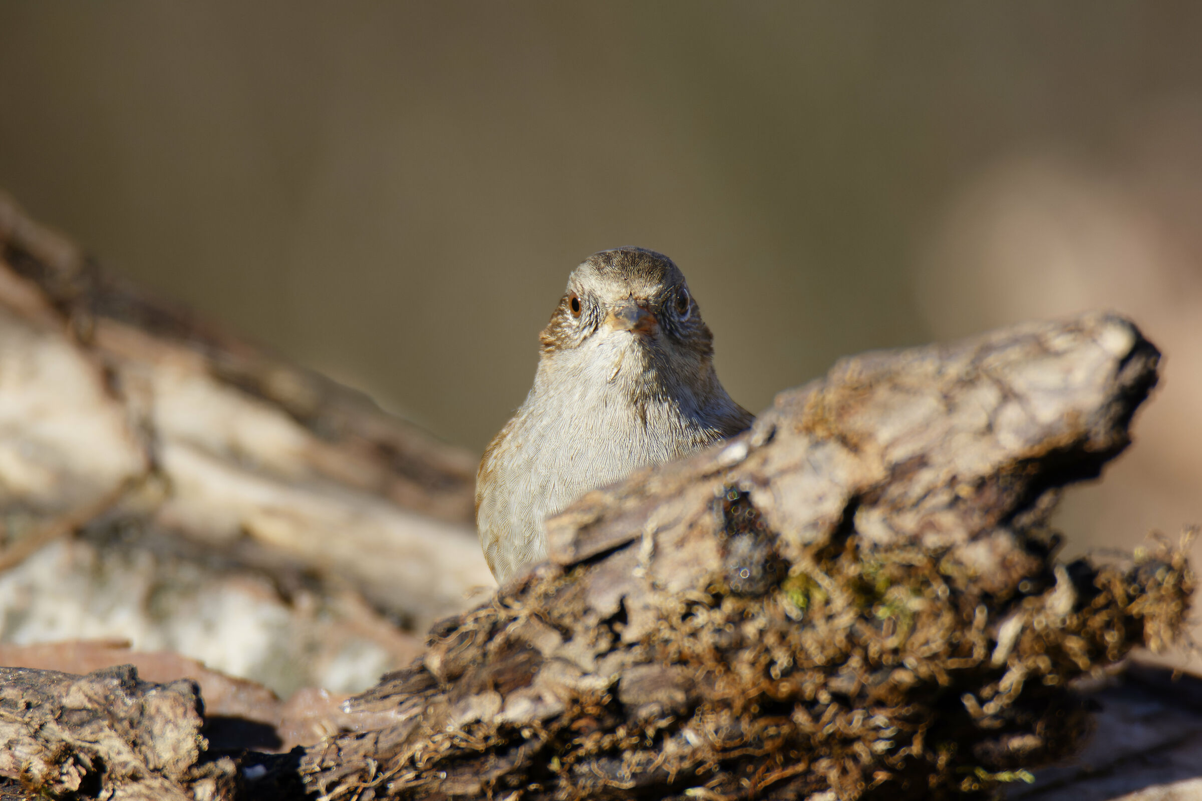 What do you have to look at?