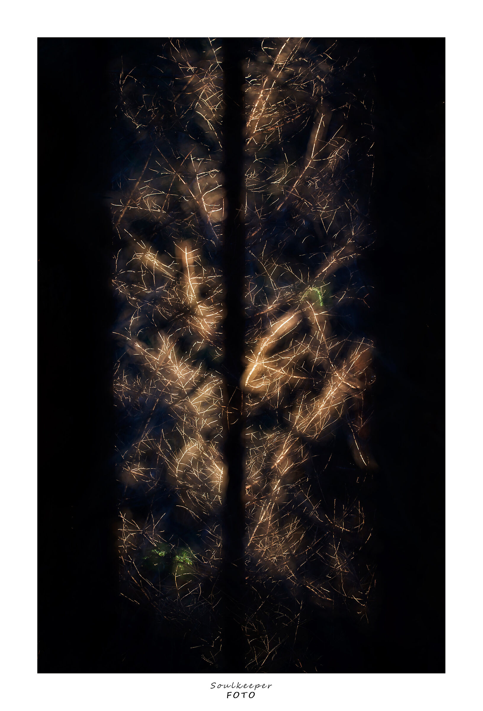 Le "vere" luci di Natale.