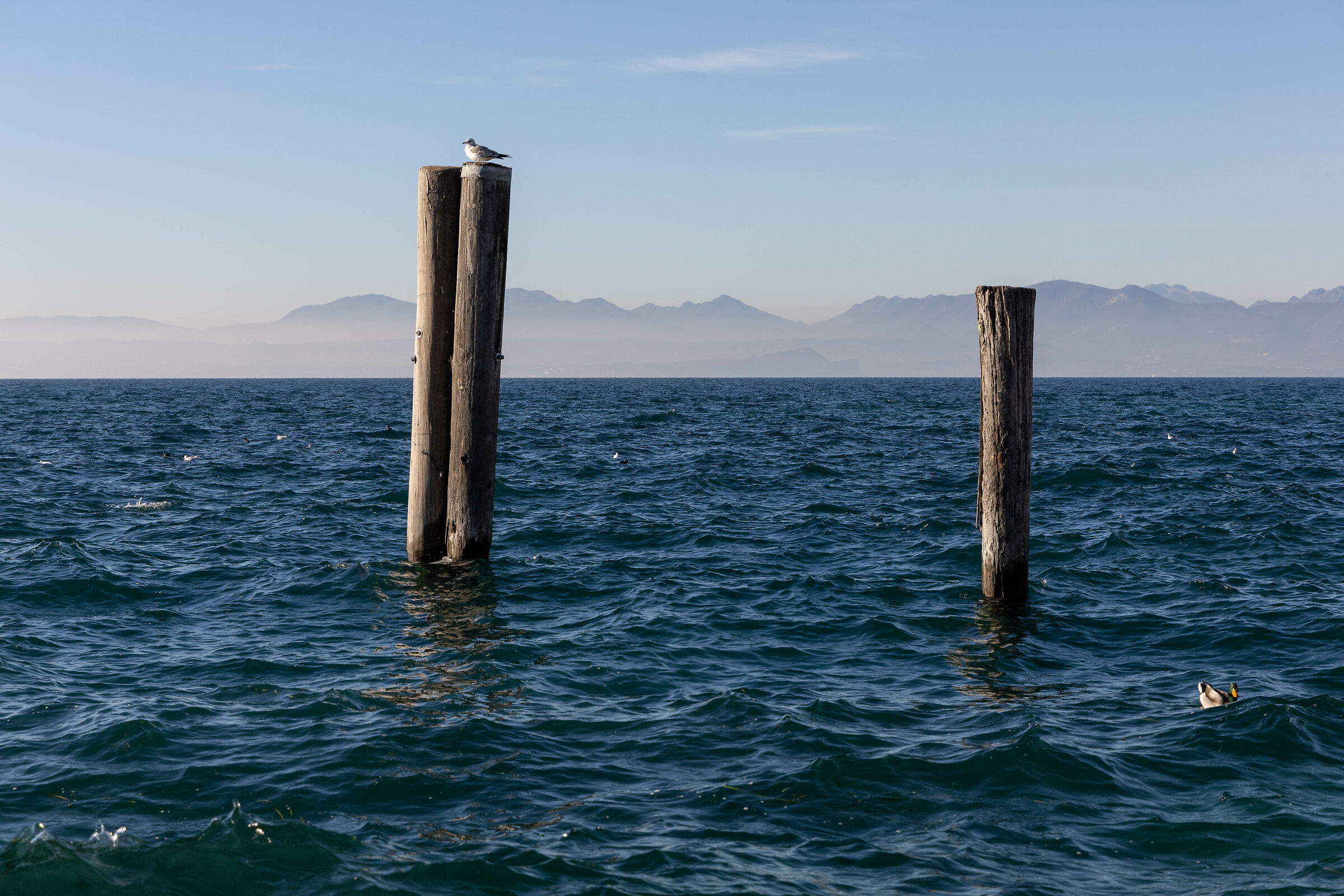 Lake Garda from Lazise