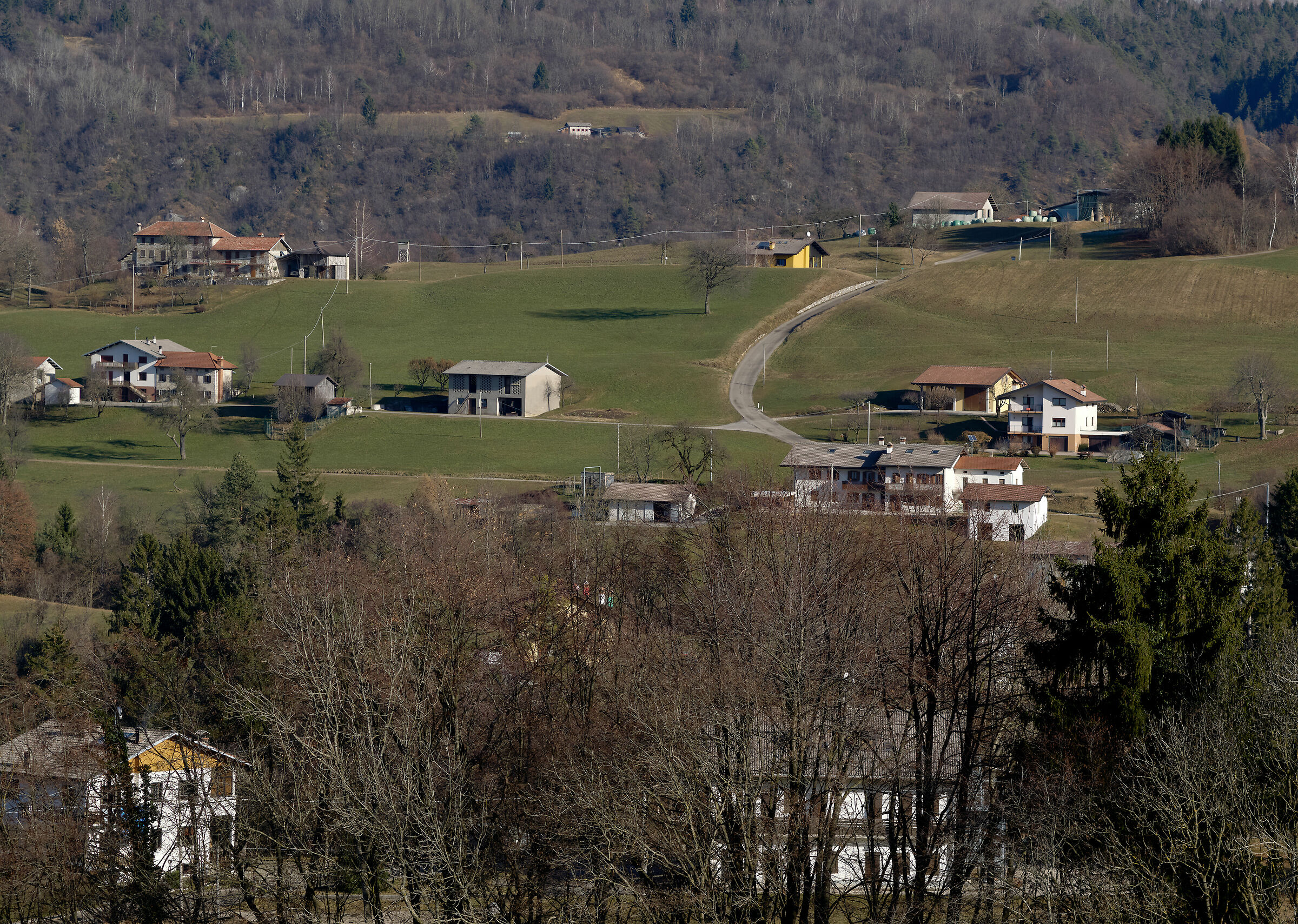 prova Capture One 23 sviluppo raw