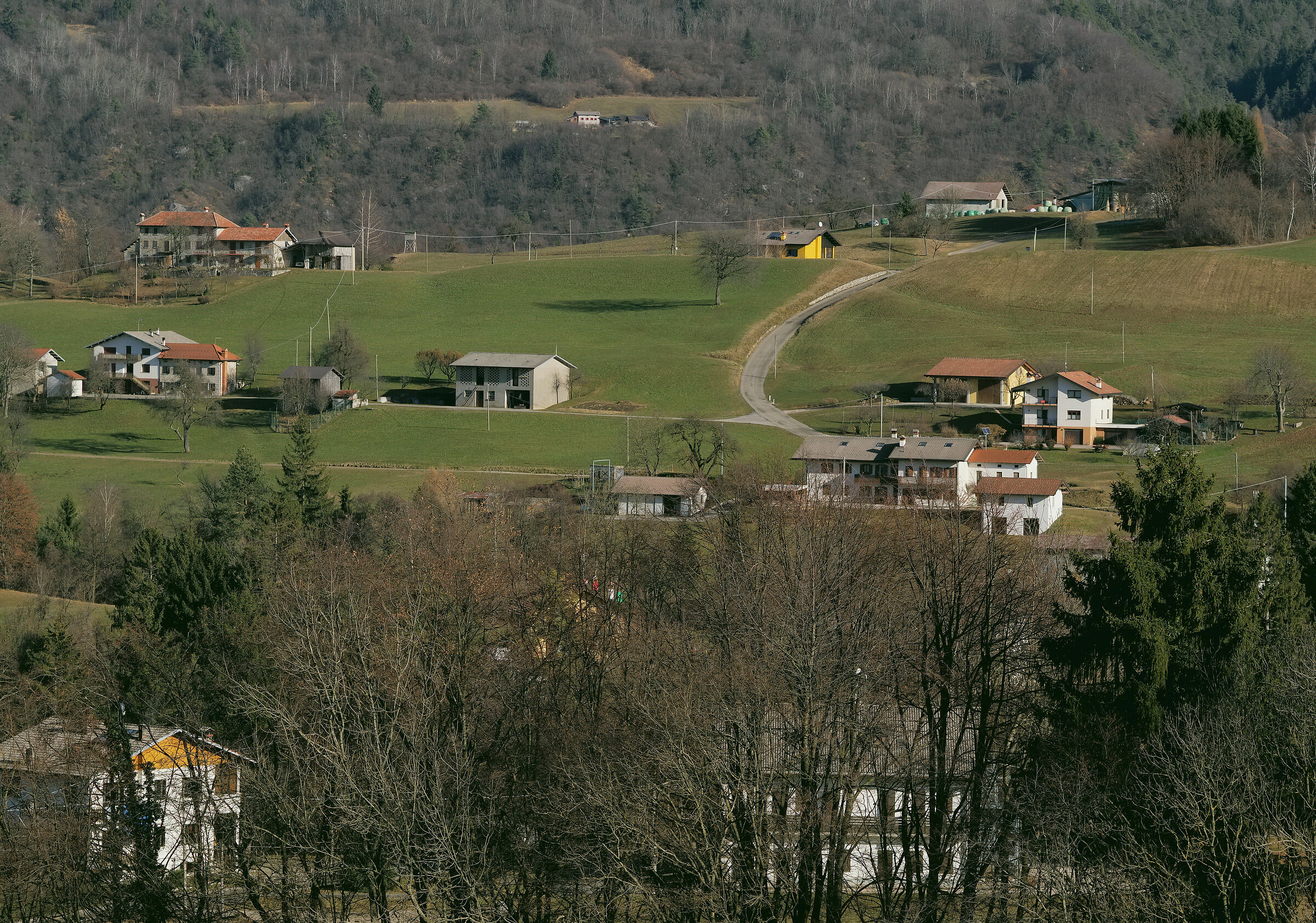 prova Olympus WorkSpace 2.2 sviluppo raw