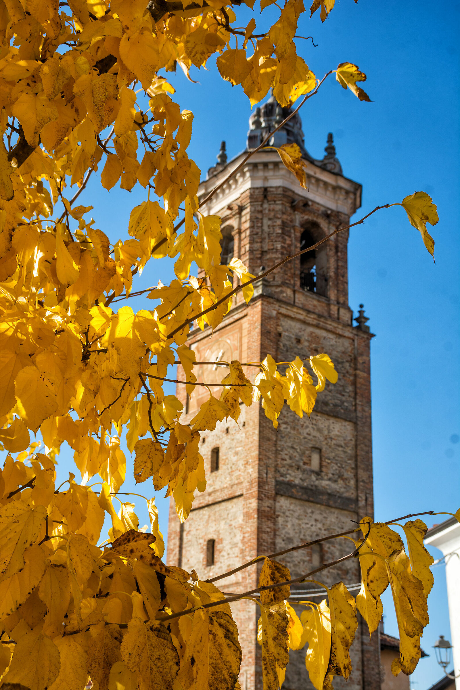 Il campanile nel giallo