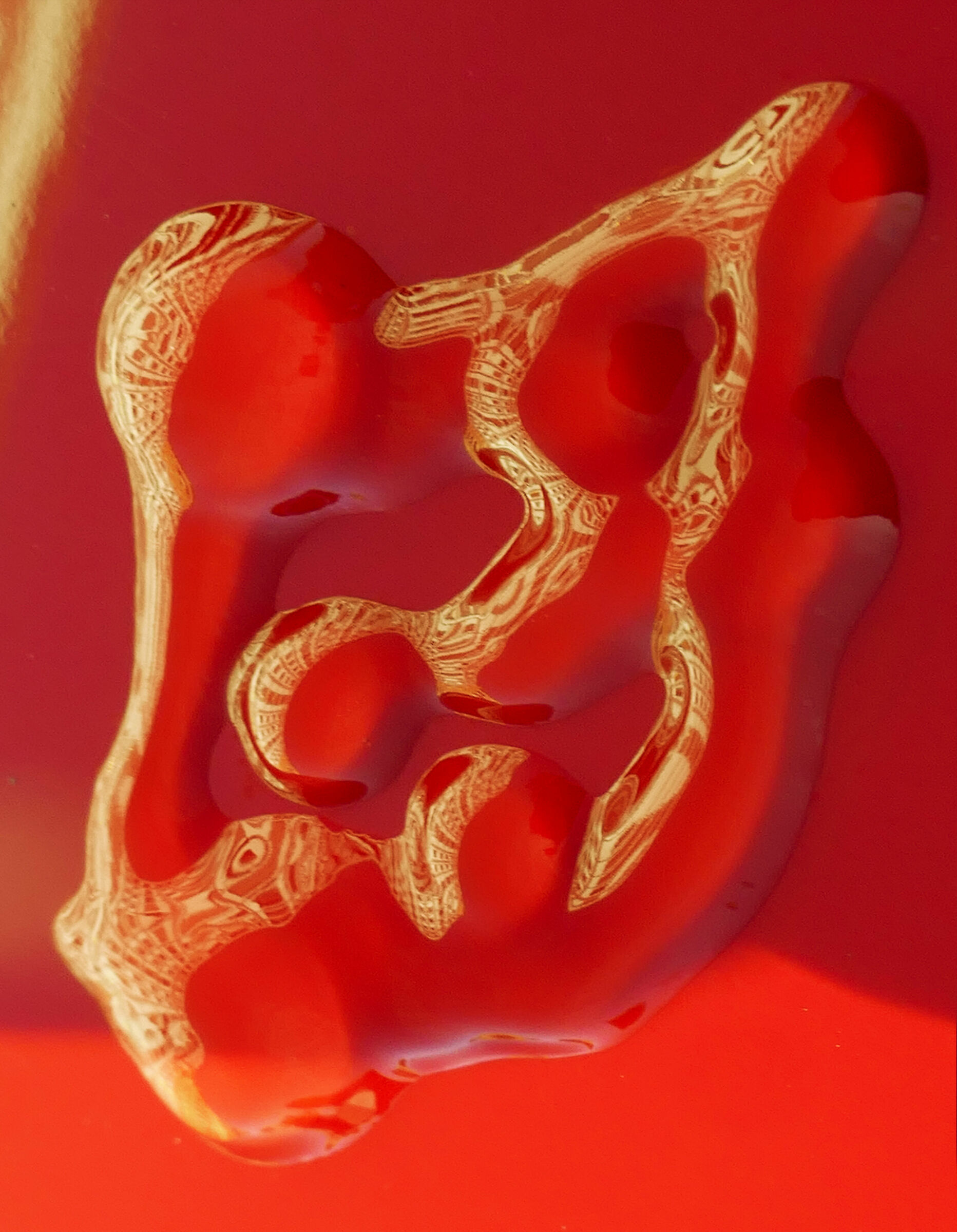 The pony and the serpent