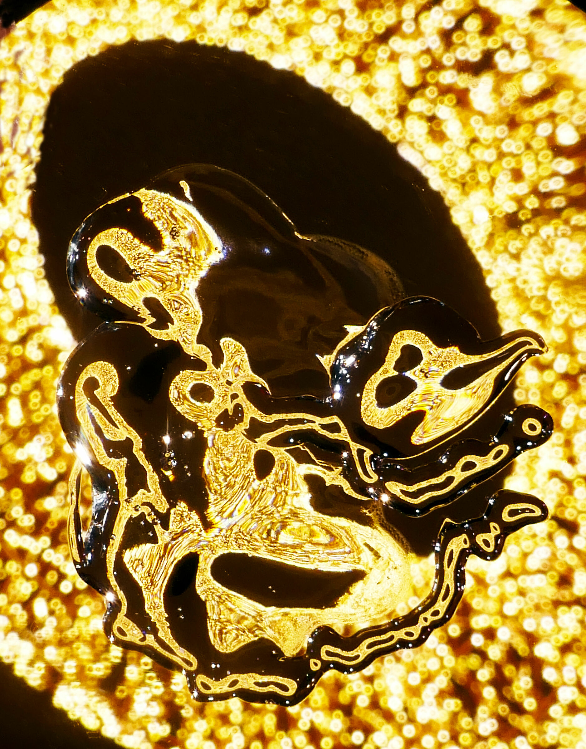 The Magnificent Haoyu