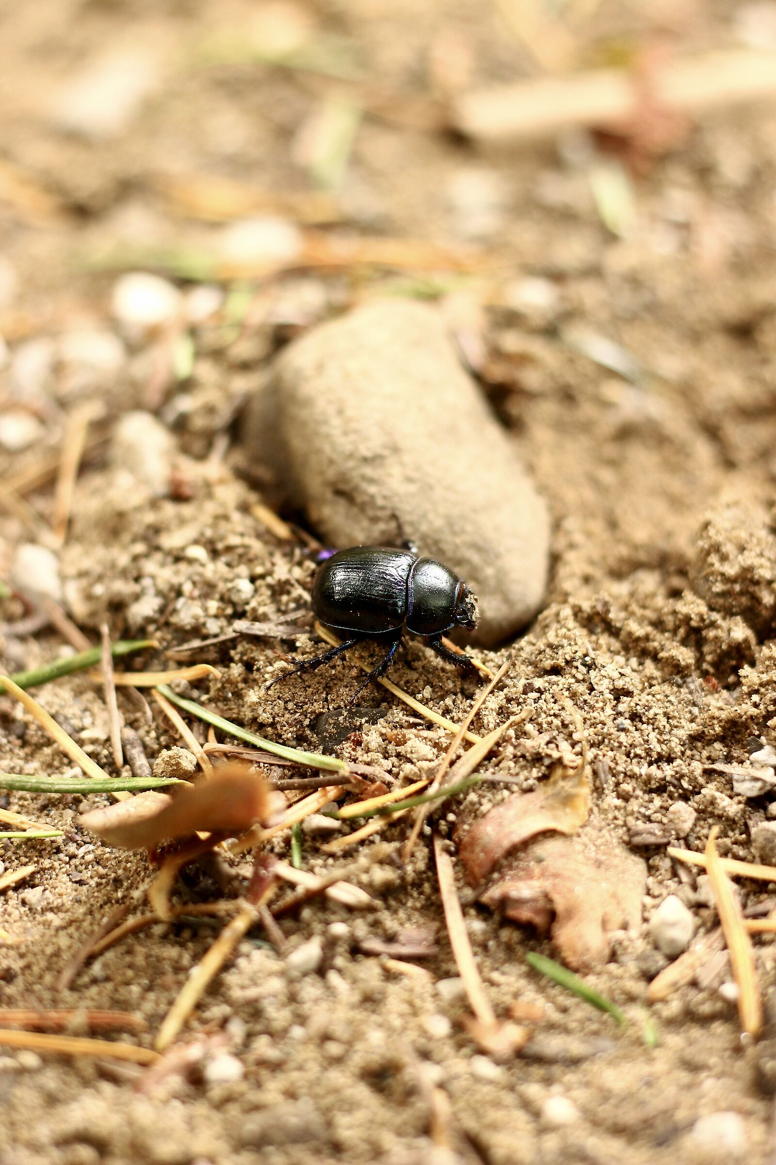 Be careful where you step!