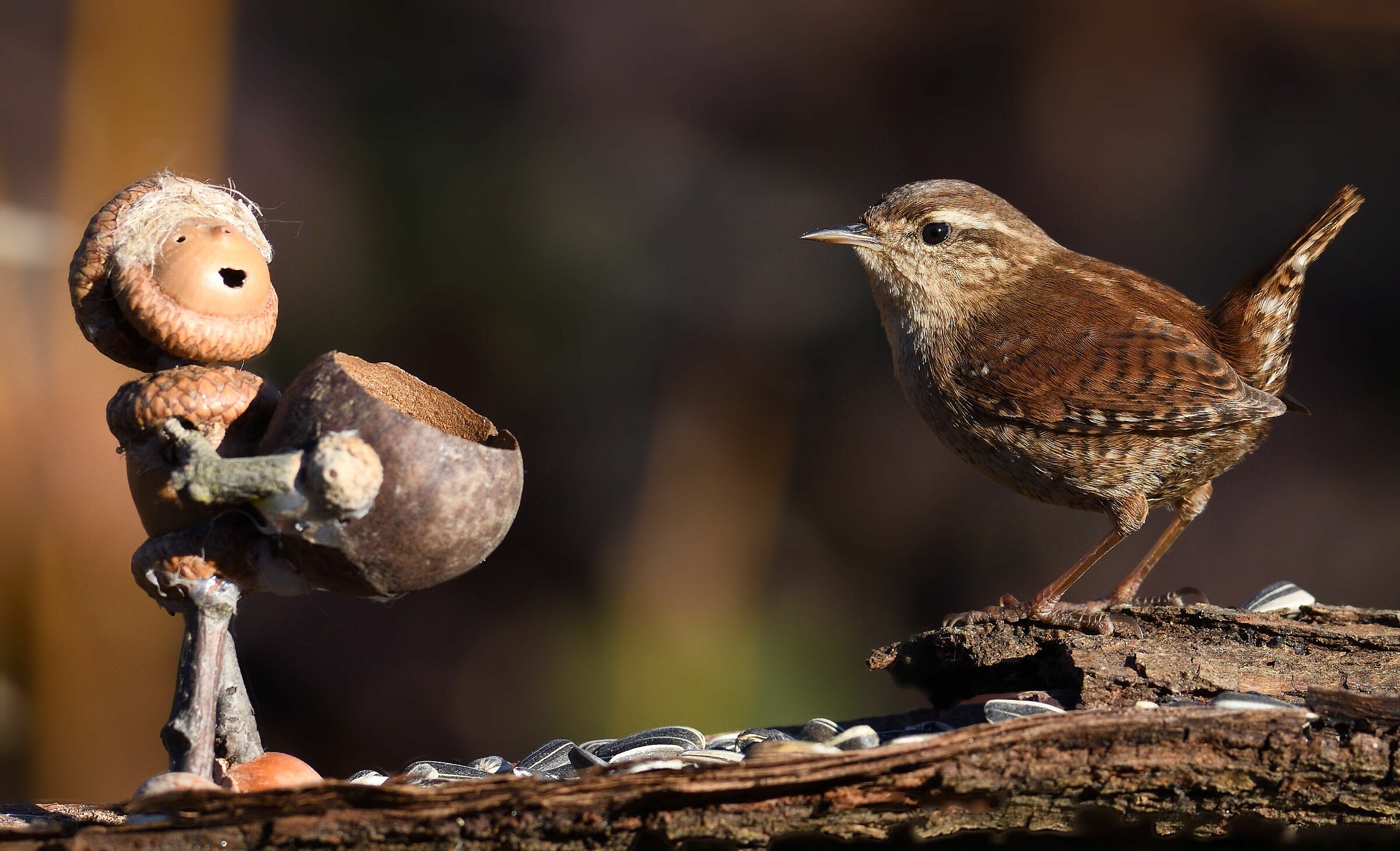 il mio folletto con lo scricciolo