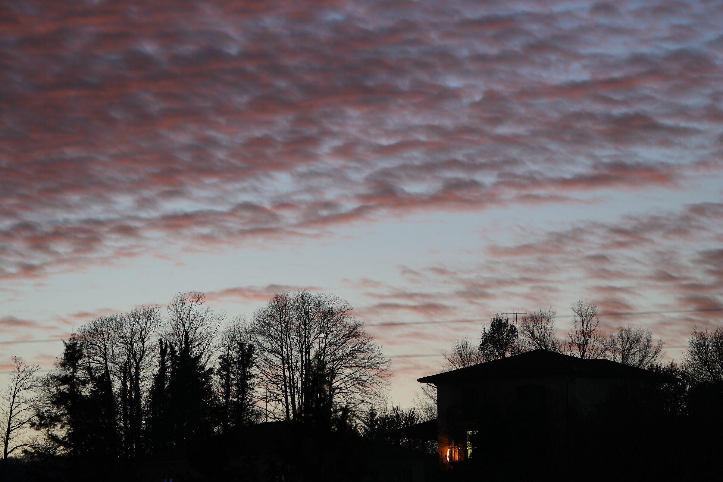 Untitled Photo