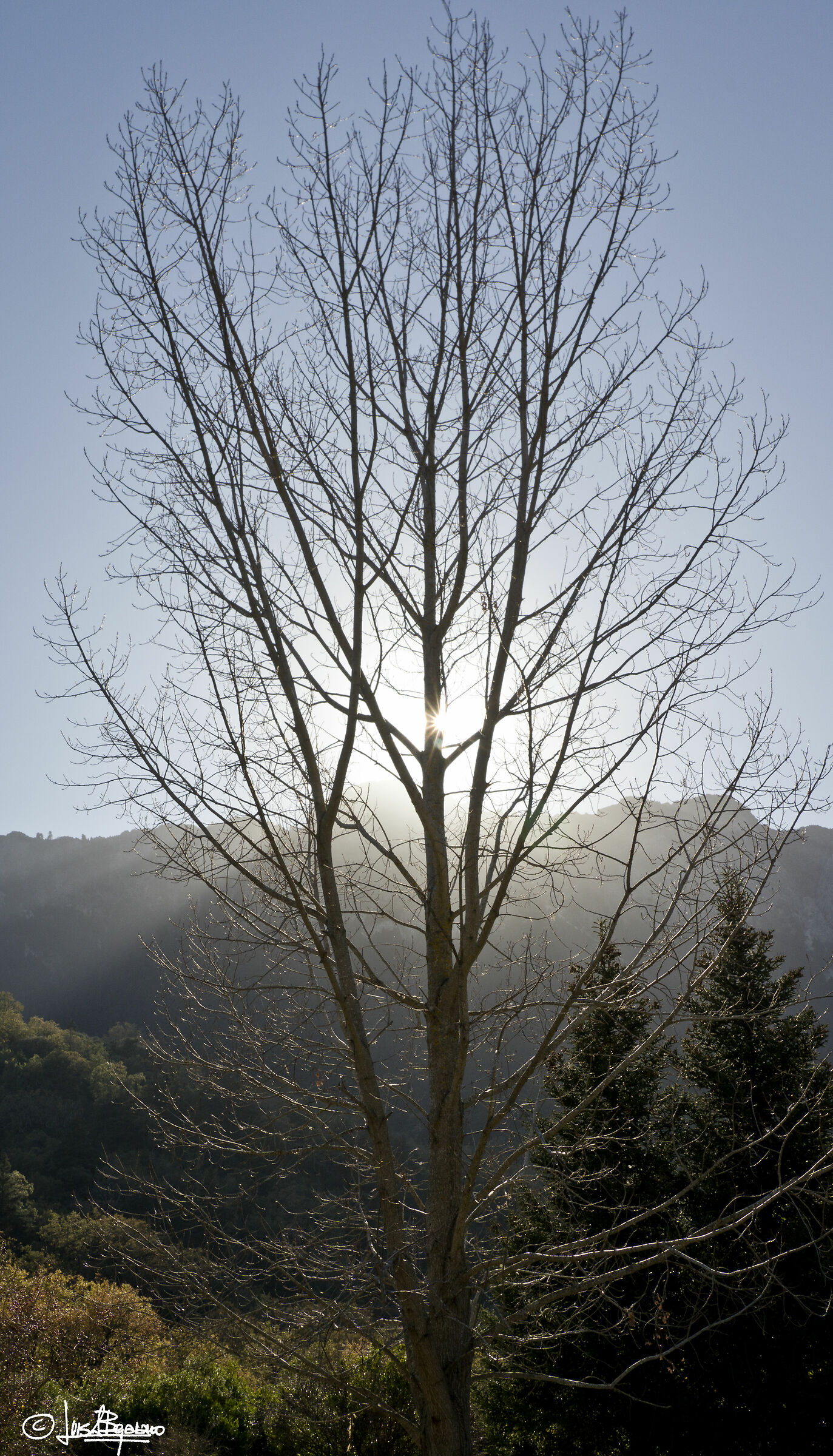 Inverno nella mia patria