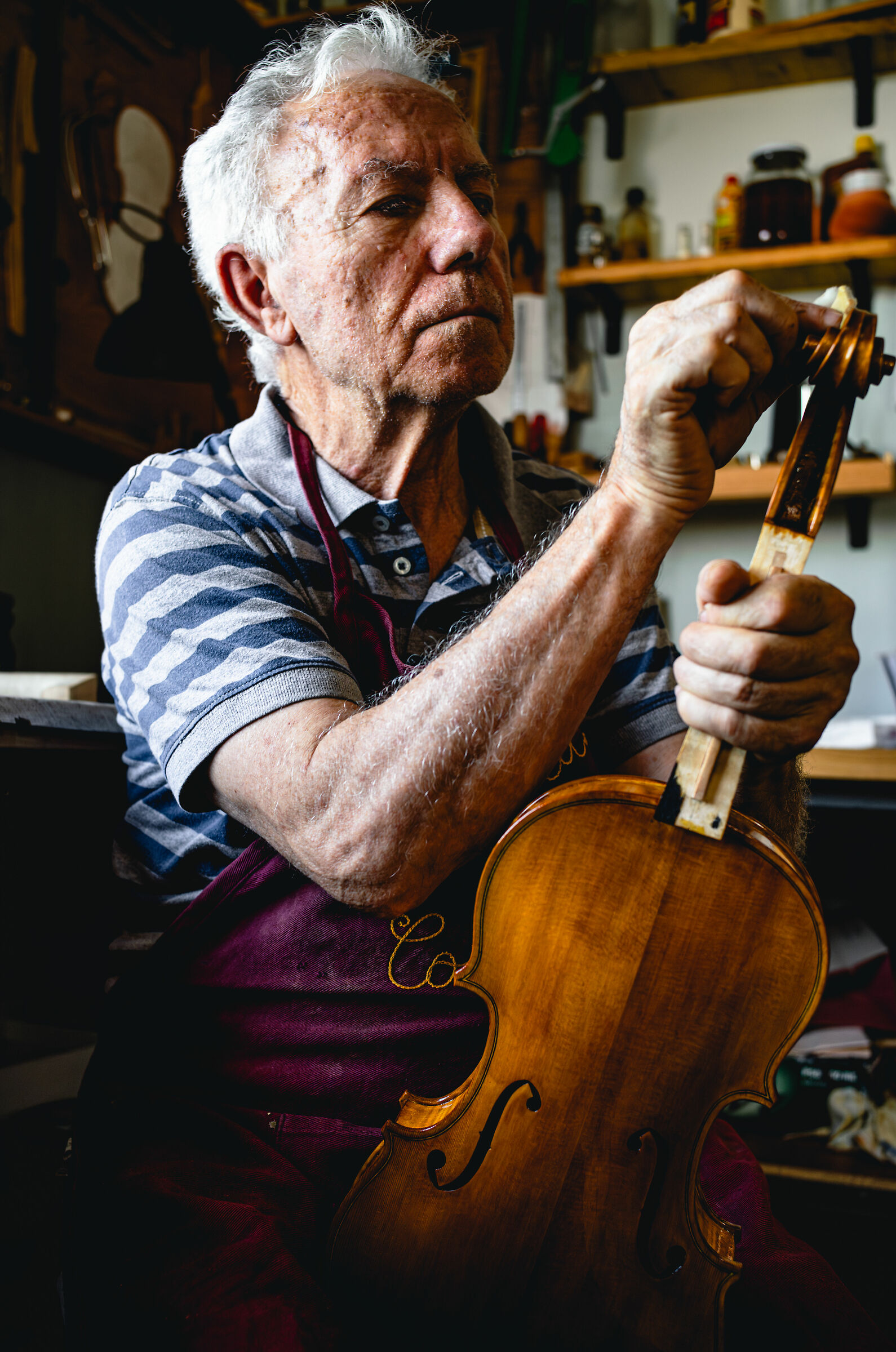 " The Luthier's Care "