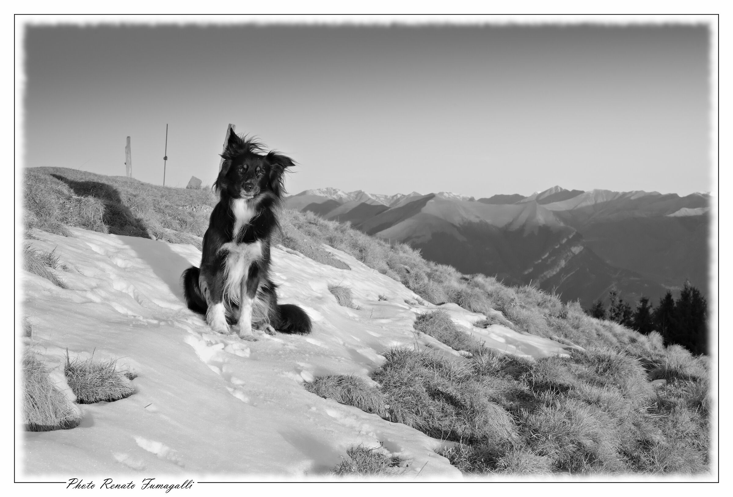 On the last snow stamp