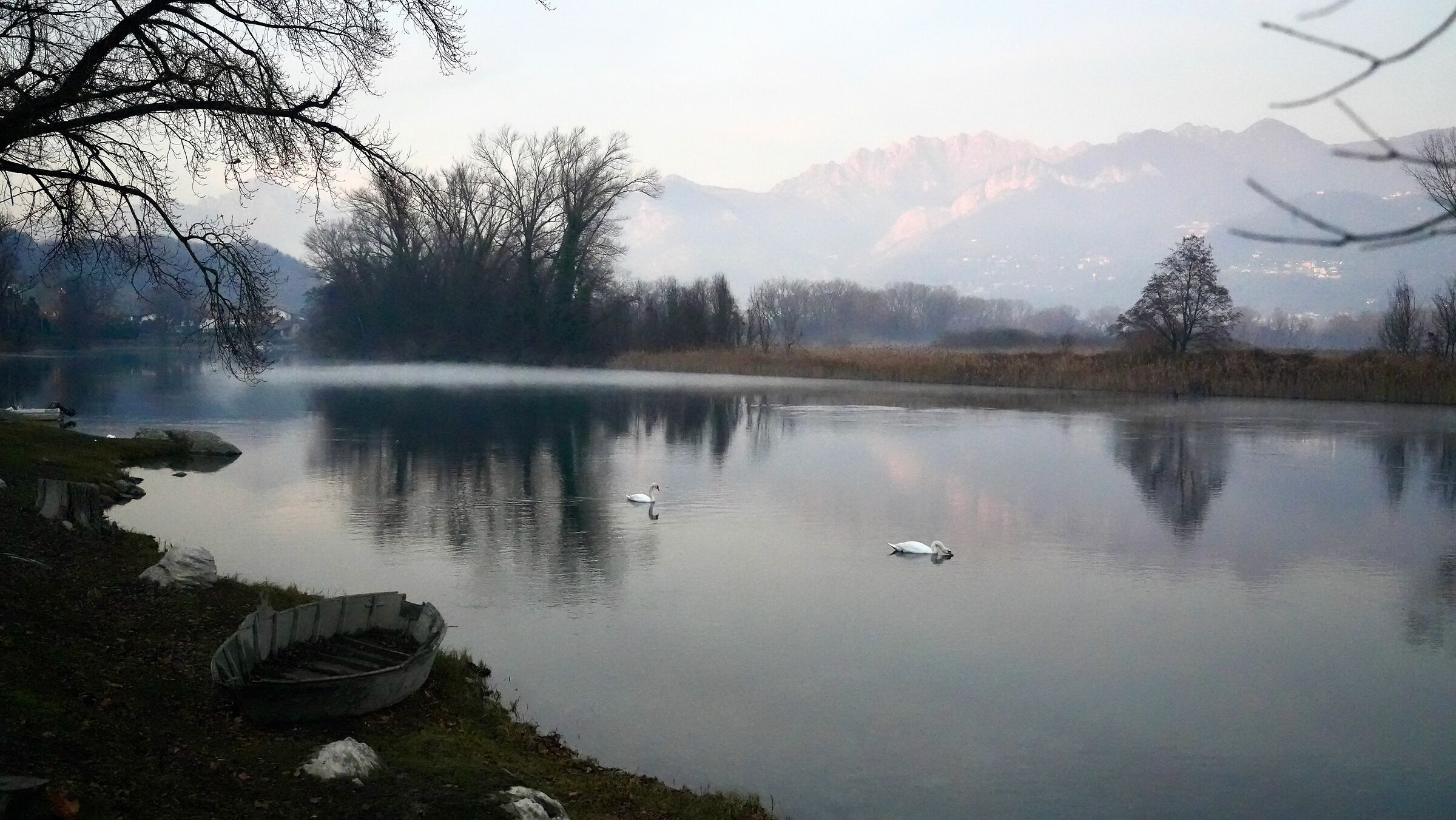 Adda, nebbiolina sul fiume 2