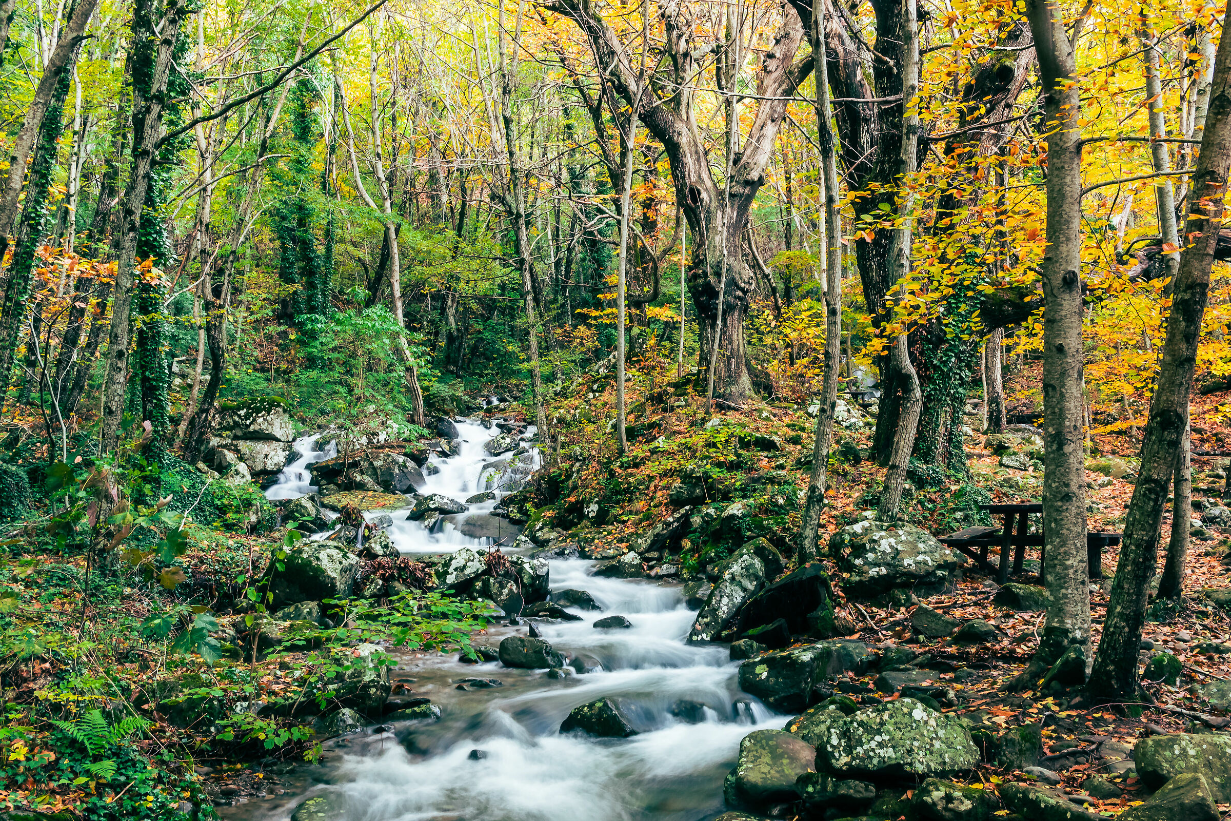 Autunno 23, Località Pratomagno (ar)