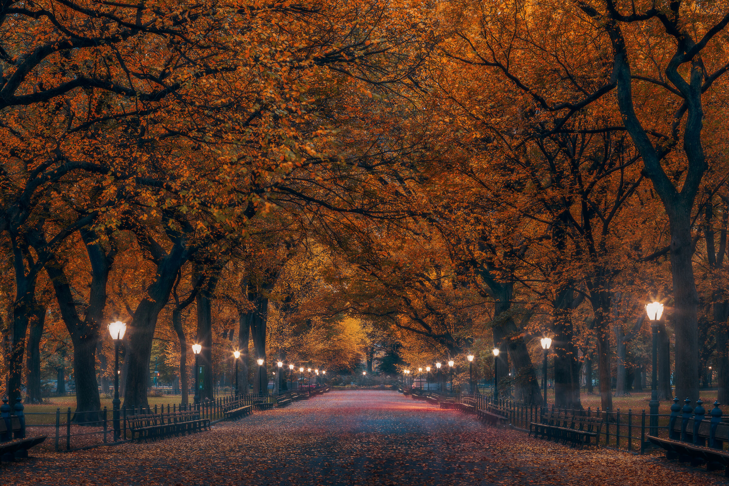 Autumn in Central Park