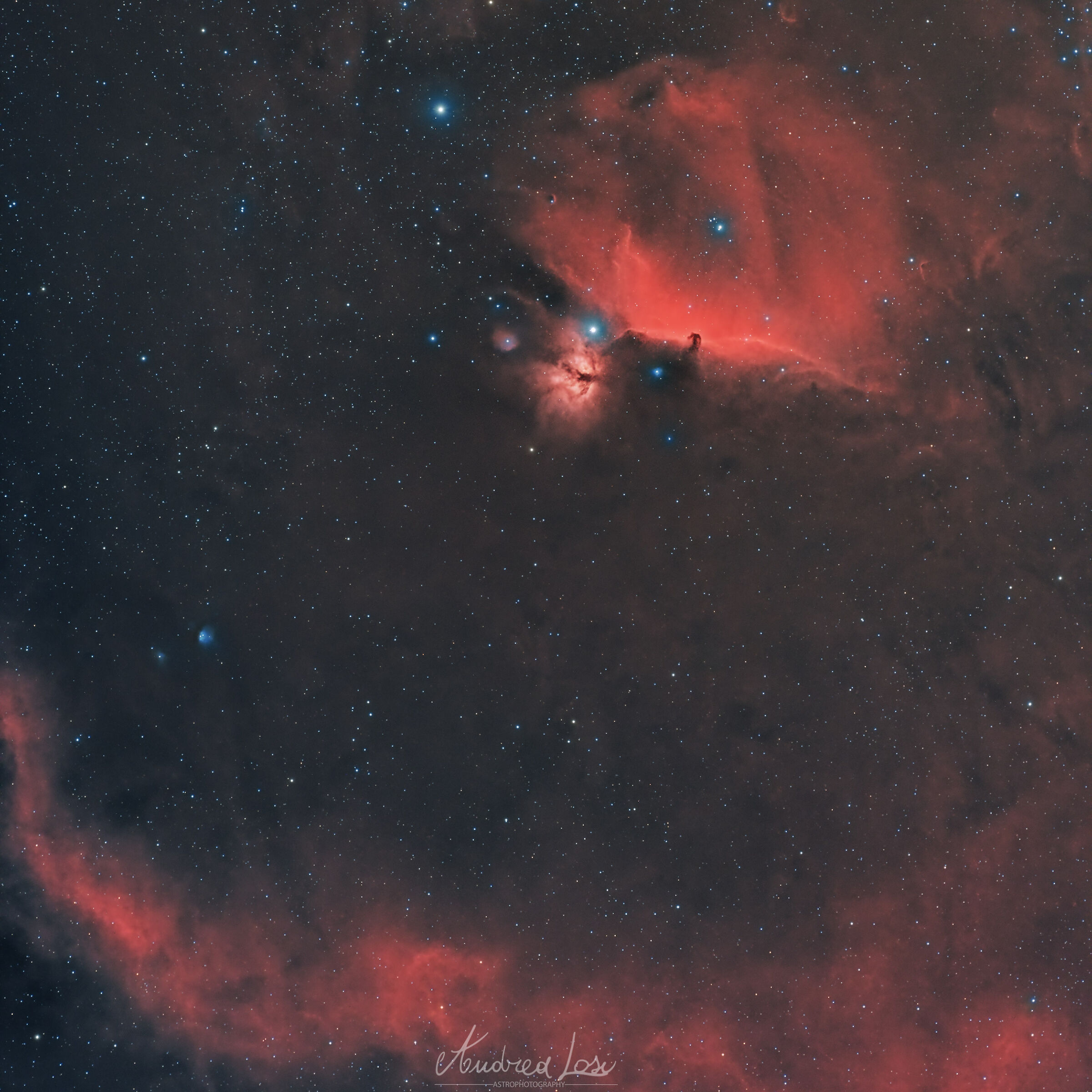 HorseHead Nebula HRGB
