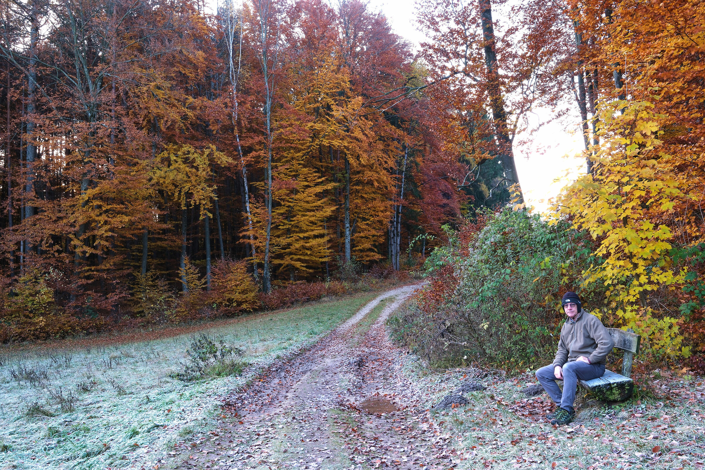 Tra autunno e inverno