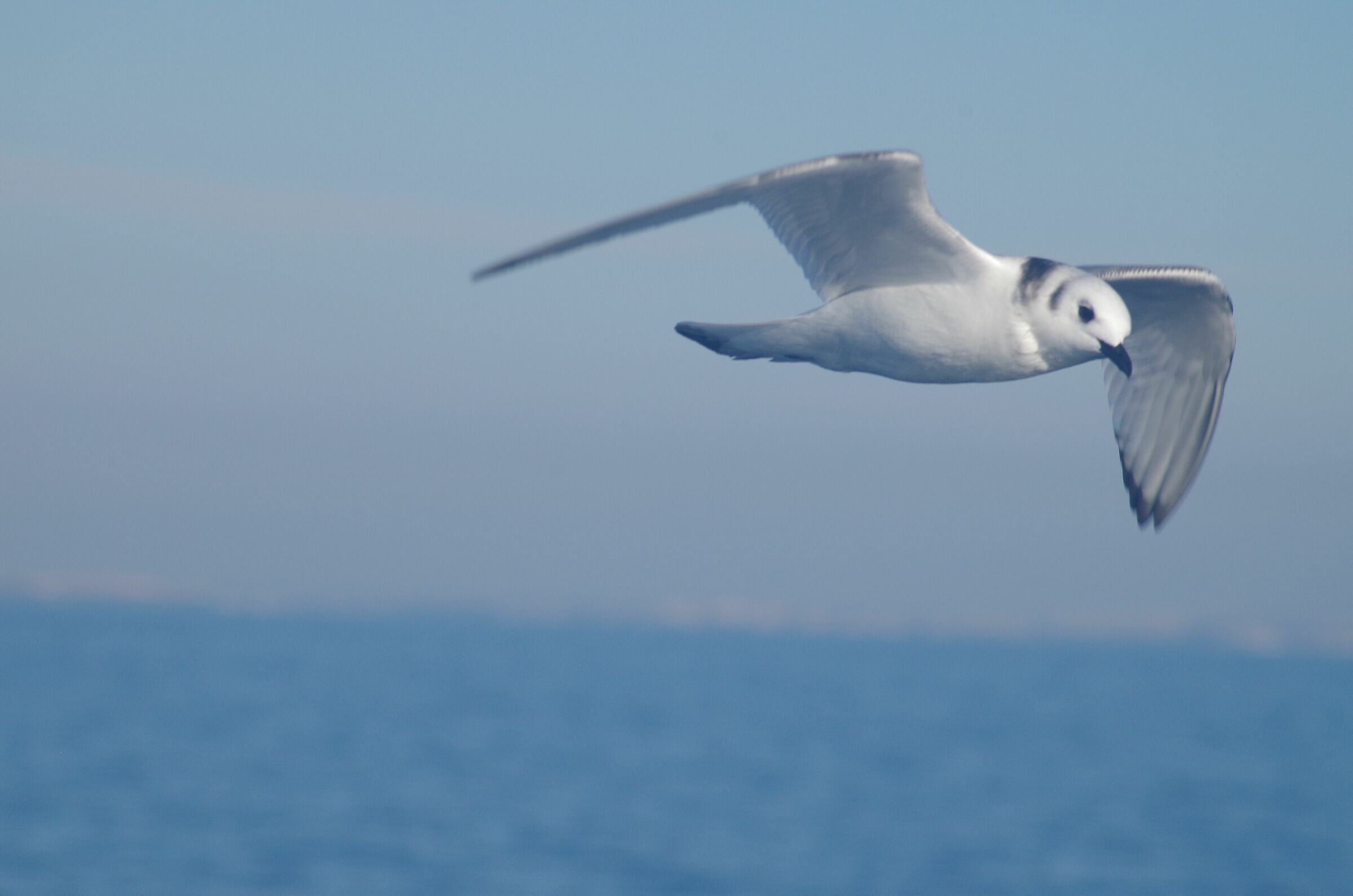 I spy with my little eye something...