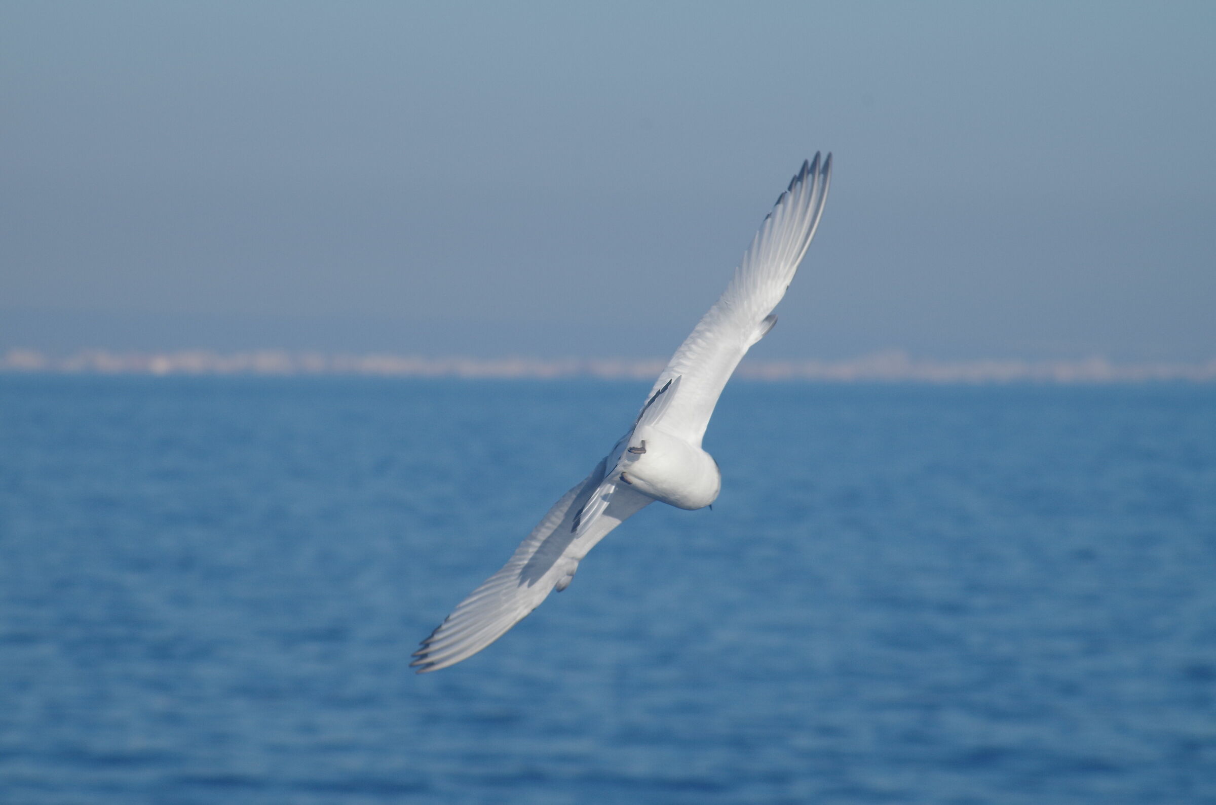 Virando verso Taranto