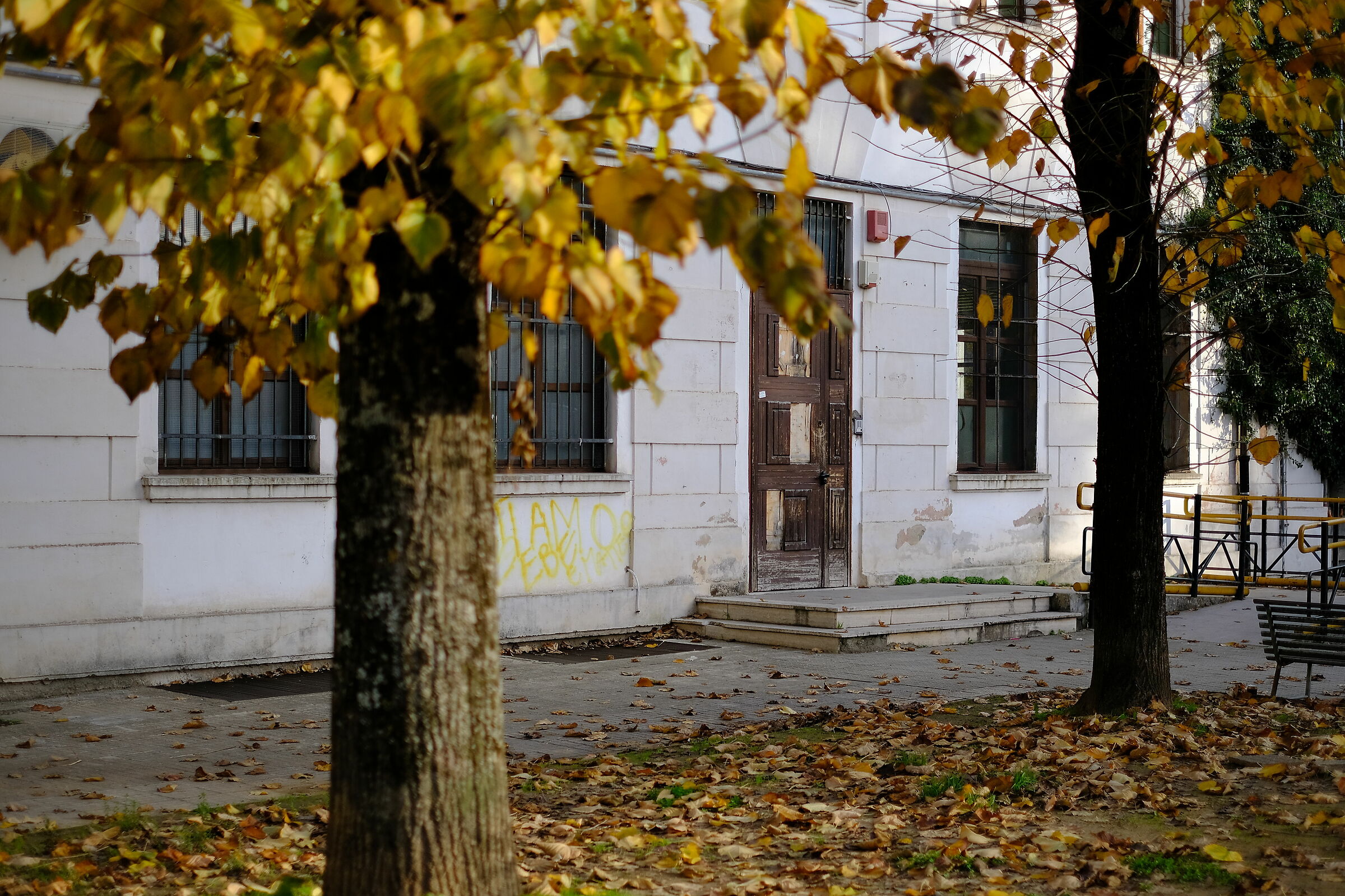 School via Milelli, autumn