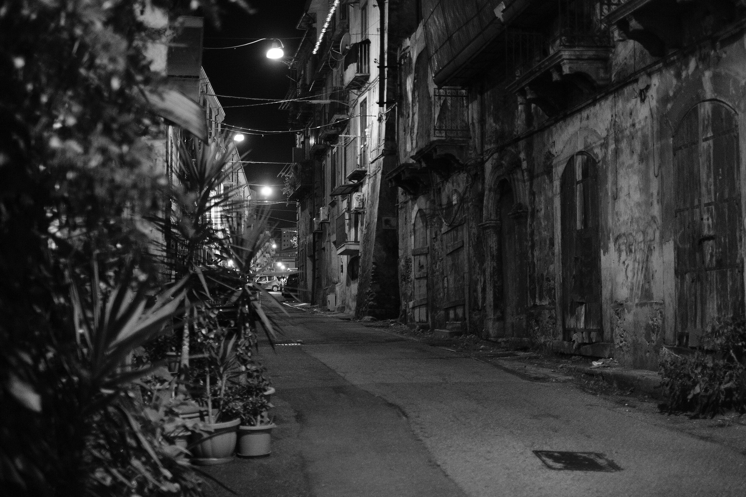 Via Rivocati