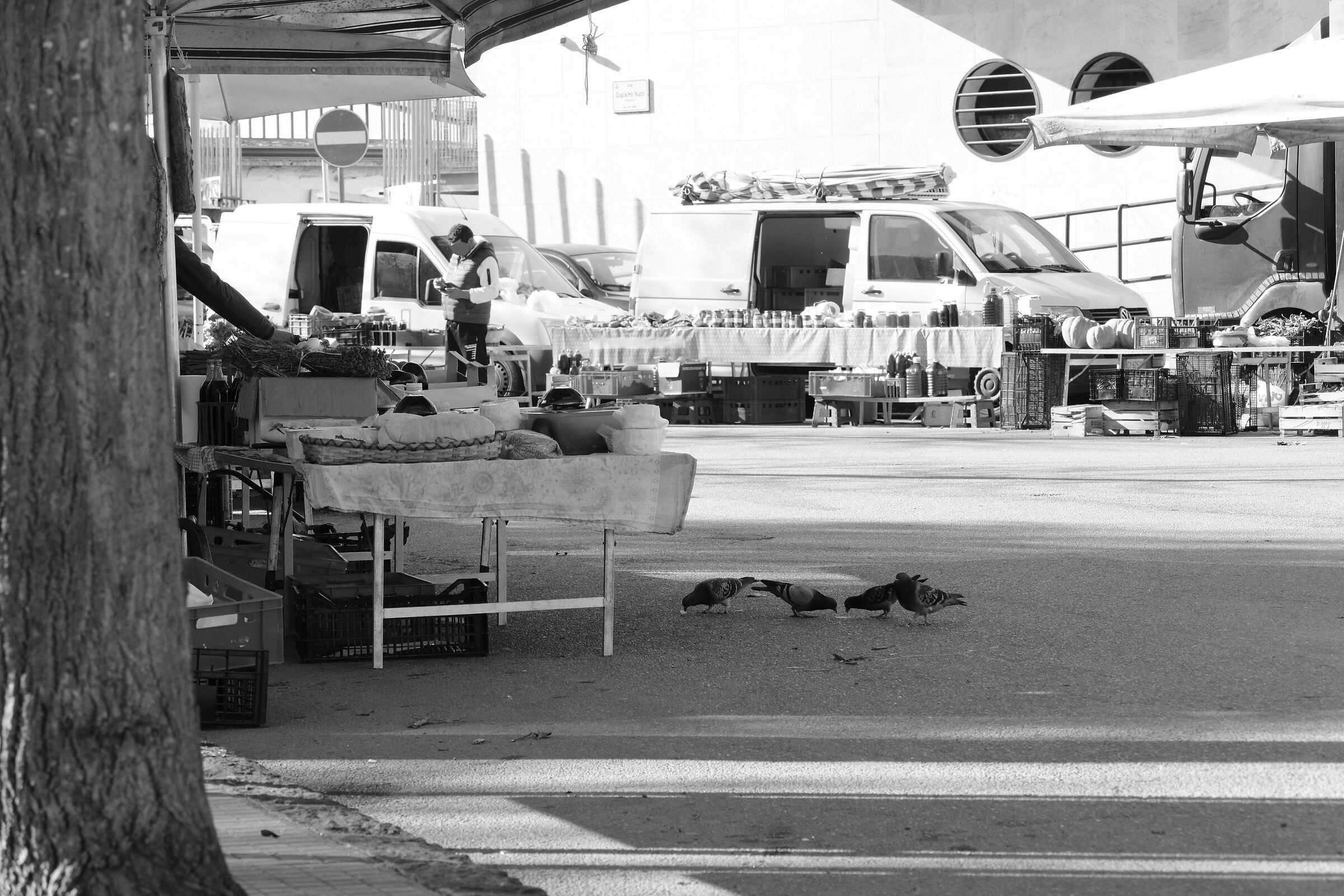 BN Market