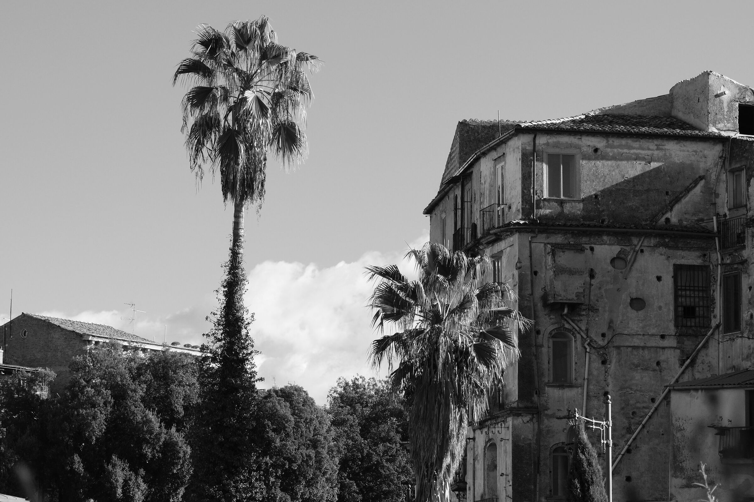 Palace